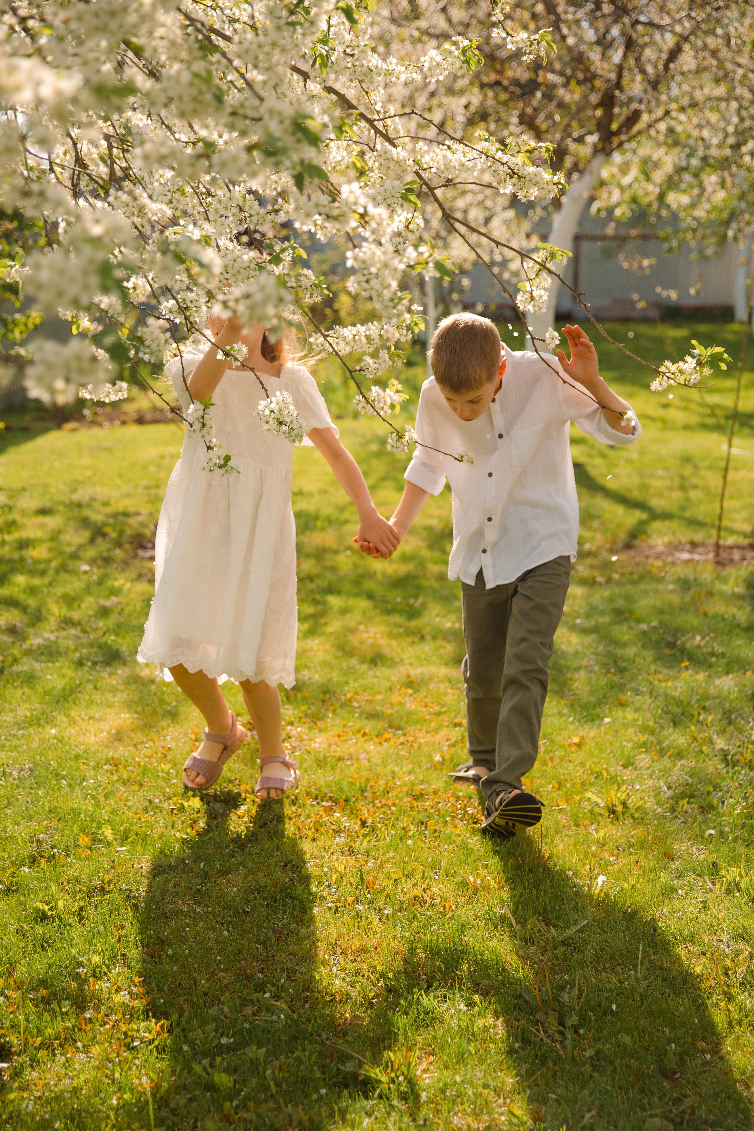 Цвет яблони. Свадебный и семейный фотограф в Санкт- Петербурге Гугучкина Полина