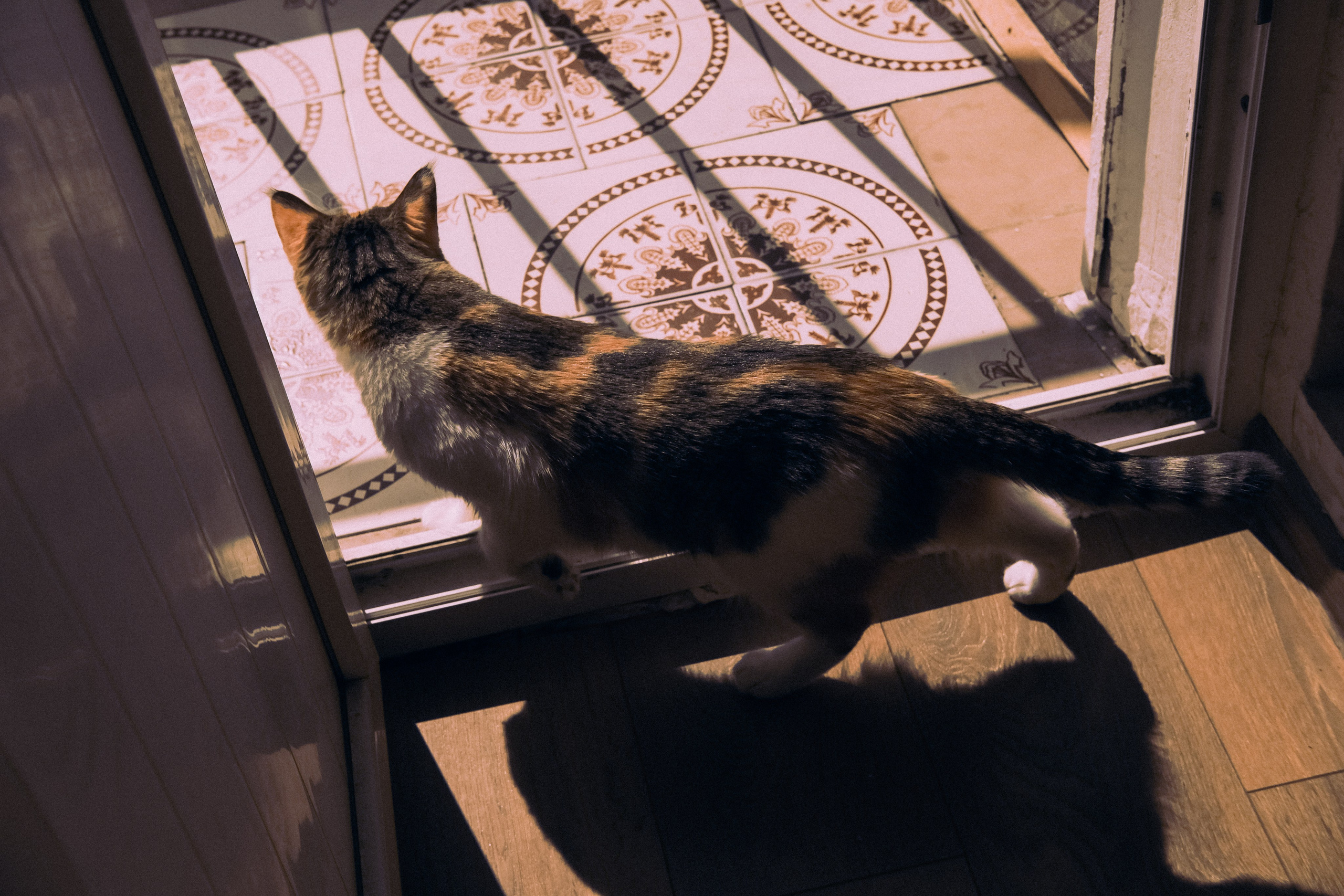 Городская и домашняя съемка в Тбилиси/ Алина и Гриша/ Или фотоблог из спального района. Photographer Tbilisi
