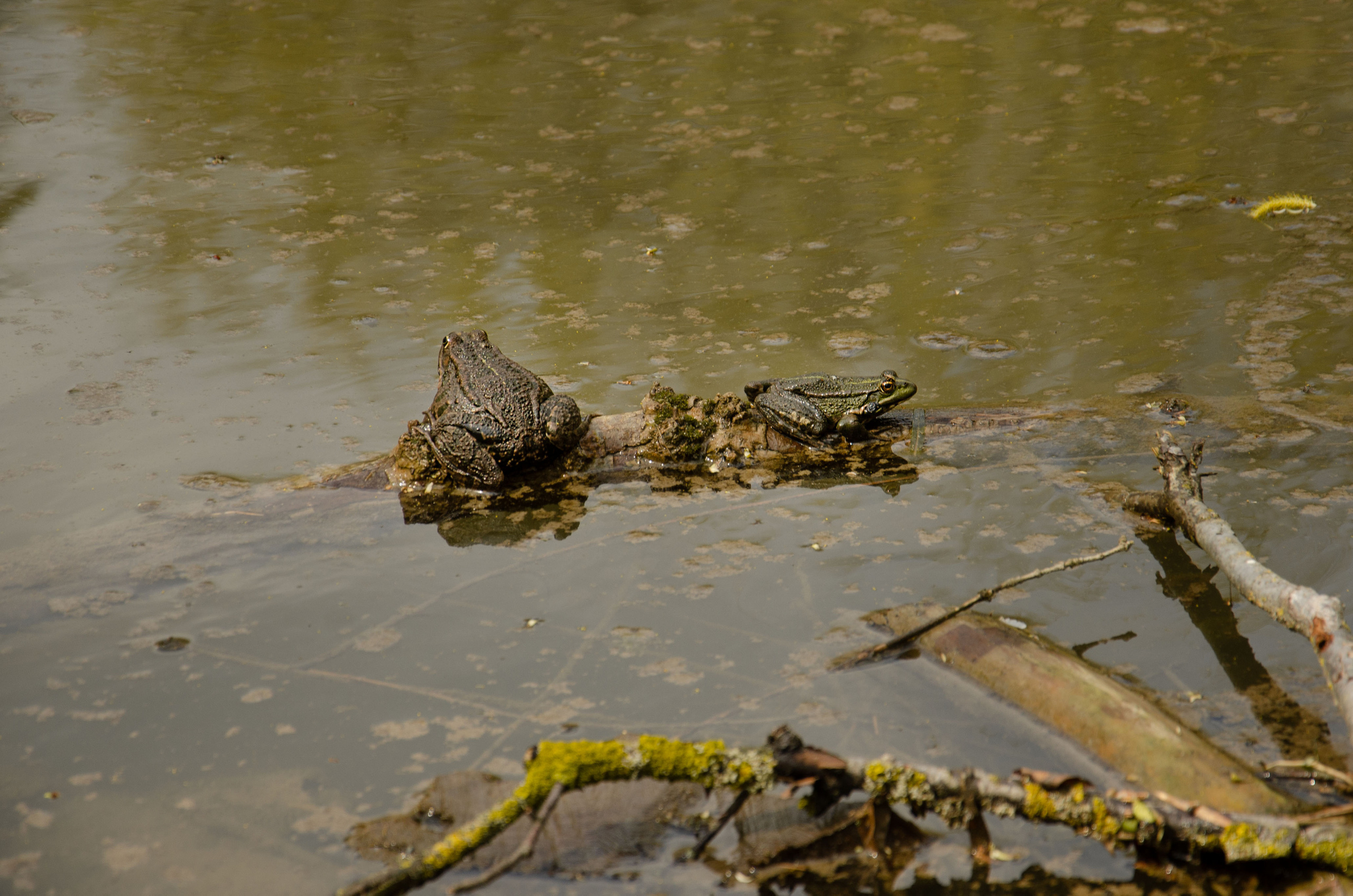 Мухина балка. Фотограф в Ростове-на-дону Анна Рыкова