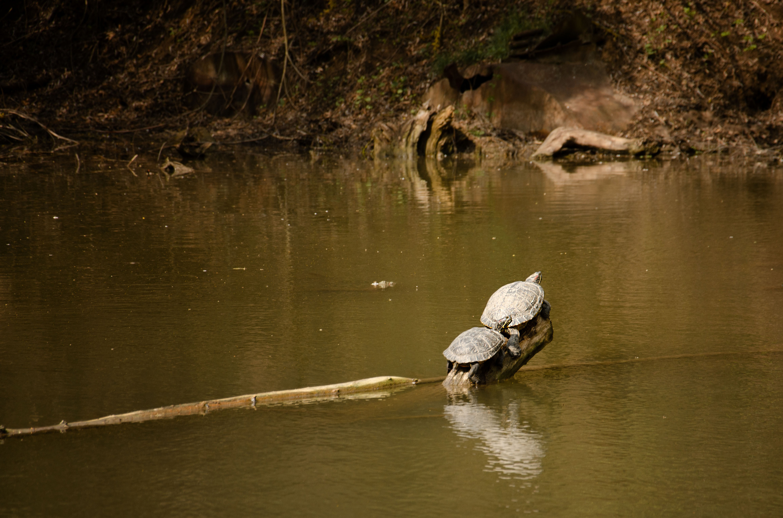 Мухина балка. Фотограф в Ростове-на-дону Анна Рыкова