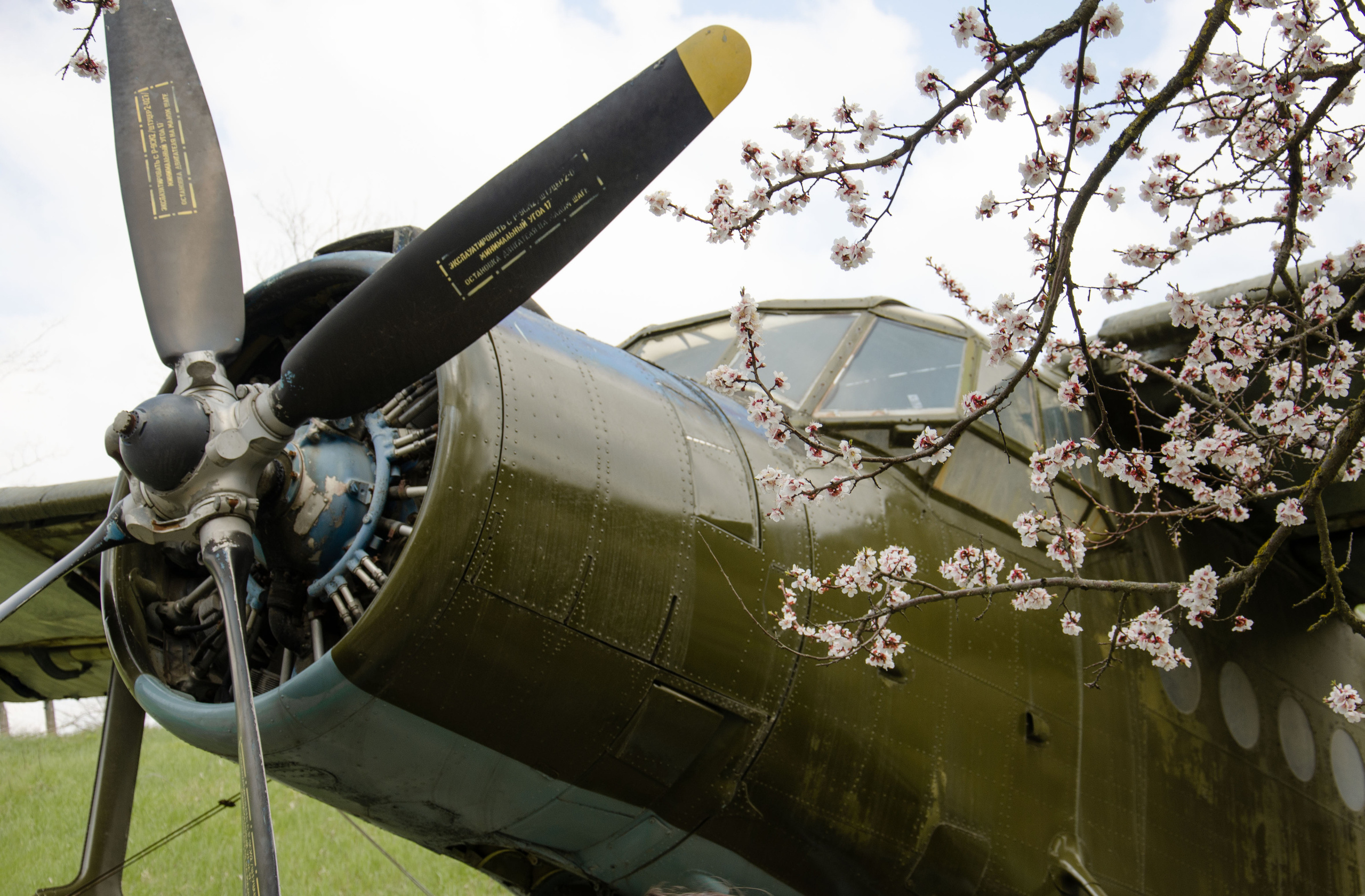 Мухина балка. Фотограф в Ростове-на-дону Анна Рыкова