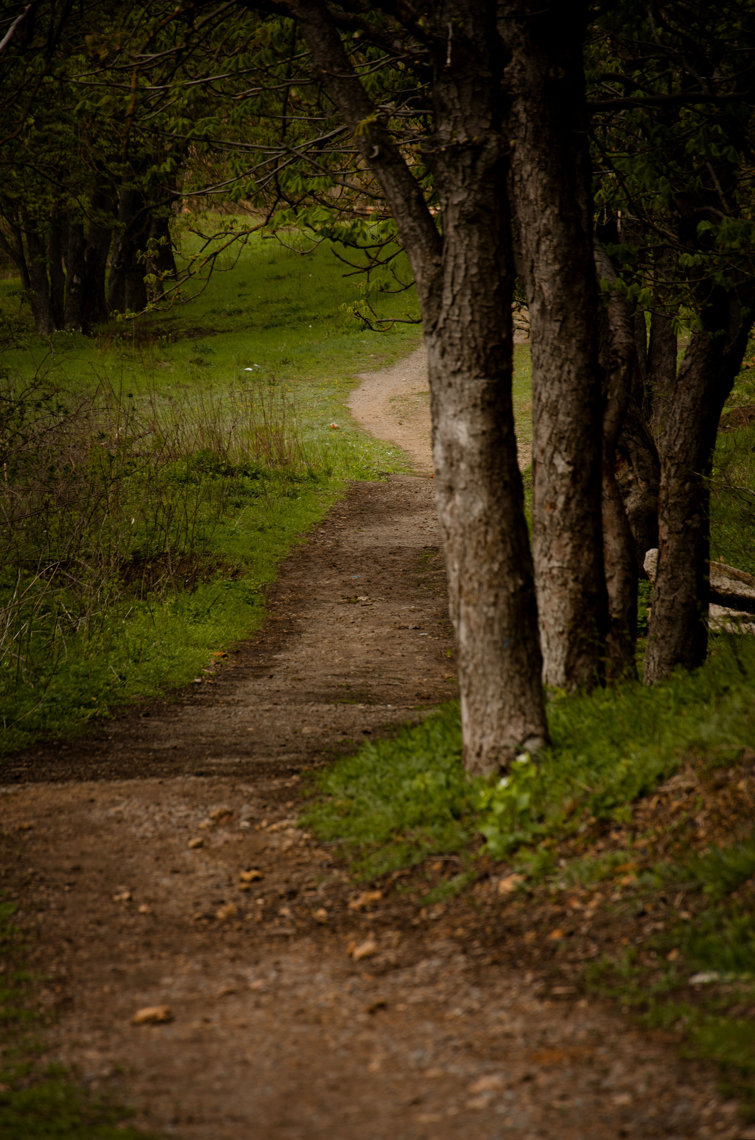 Мухина балка. Фотограф в Ростове-на-дону Анна Рыкова