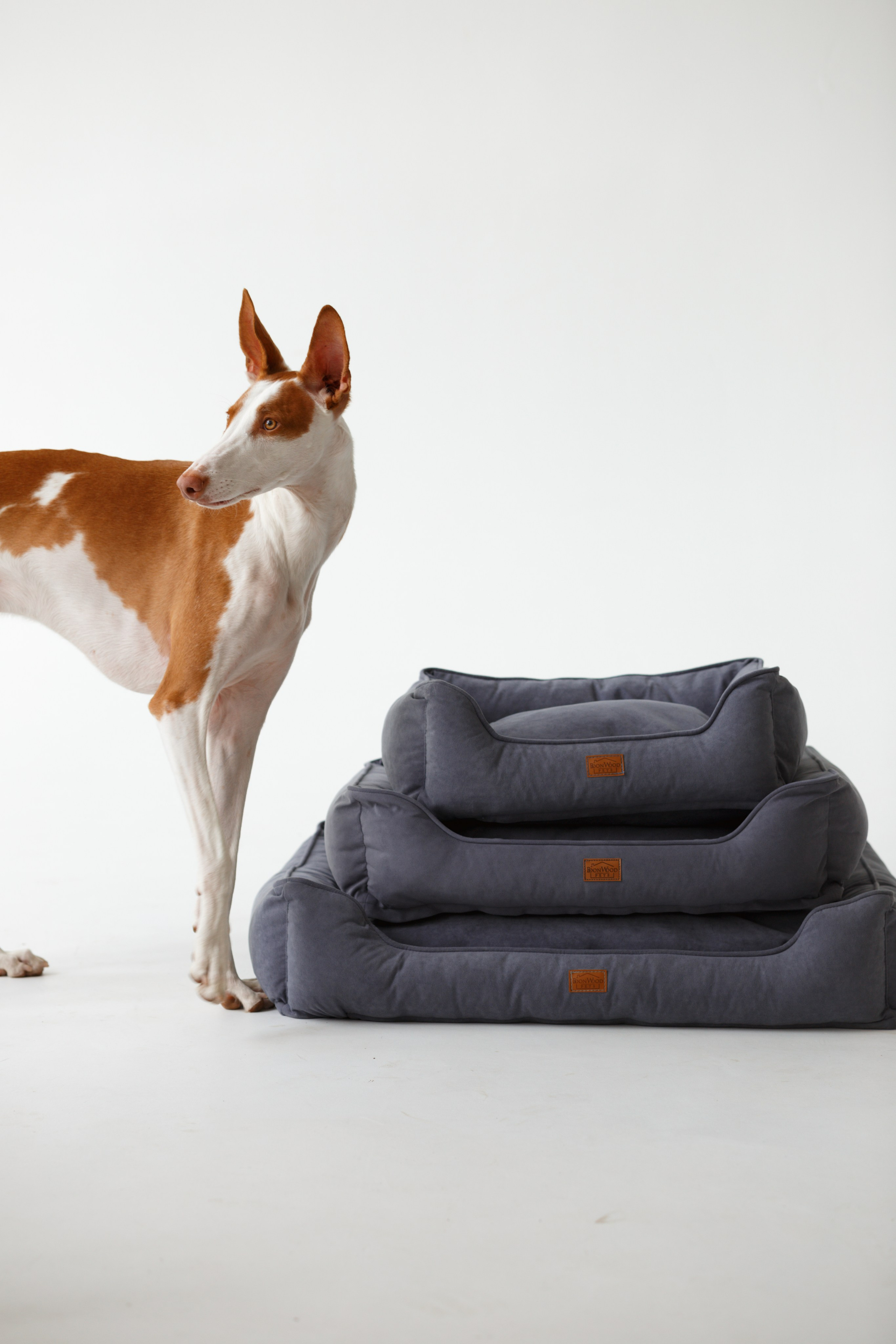 Boonwood Pets лежанки для животных. Фотограф анималист Кристина Карпова, Москва