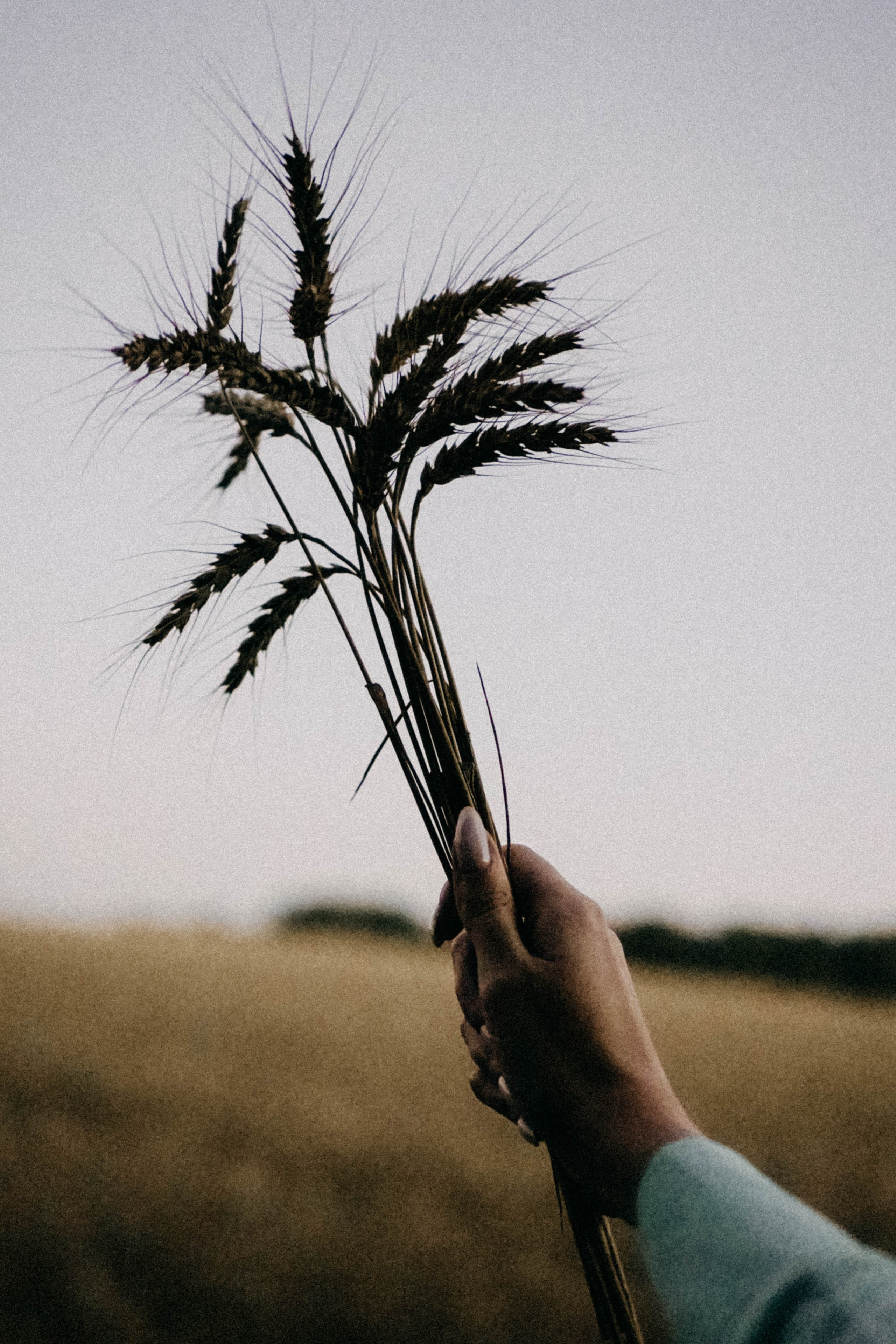 Летний вечер. Профессиональный фотограф, Санкт-Петербург — Виктория Богомолова