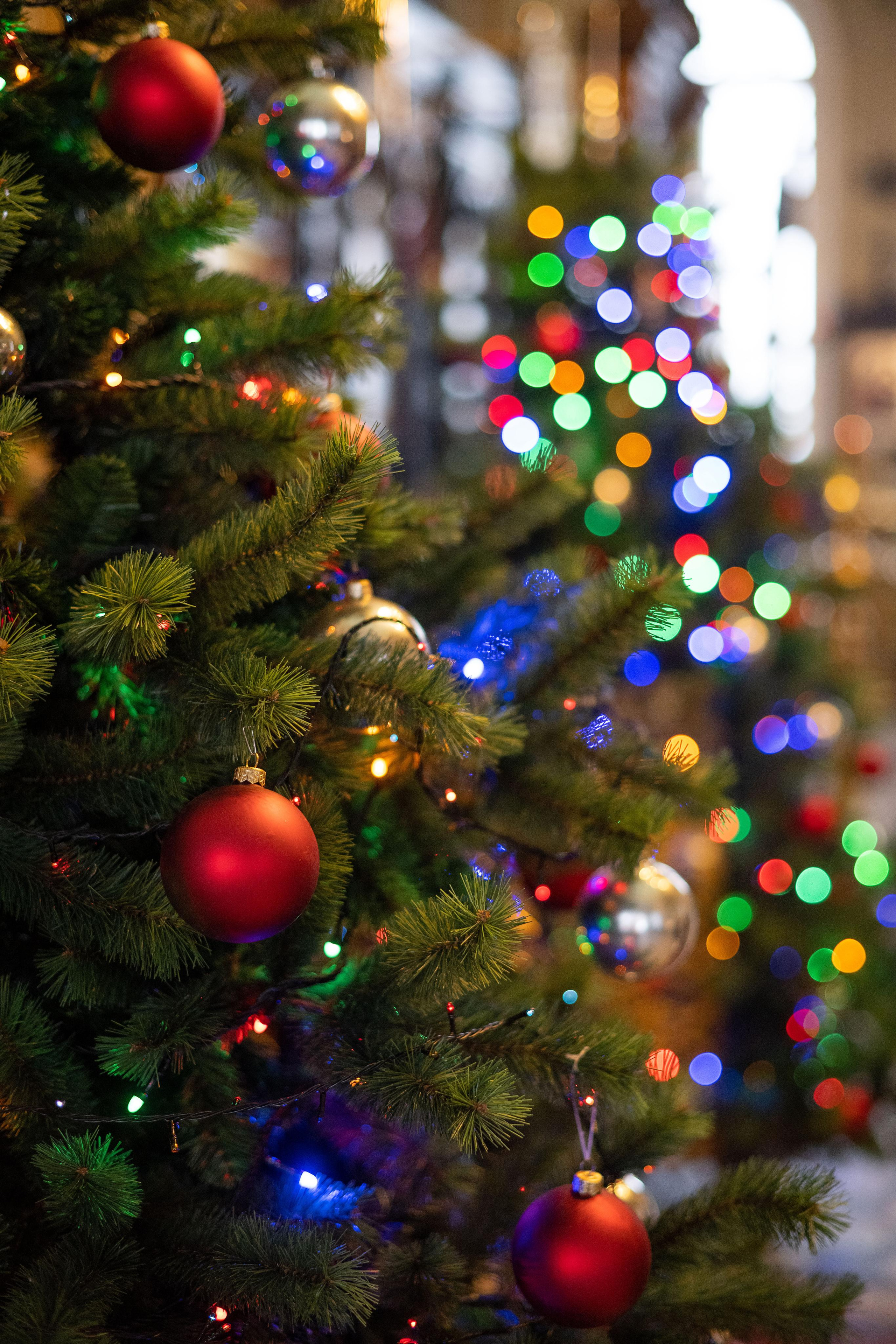 Истории. Свадебный, семейный и детский фотограф в Москве и области