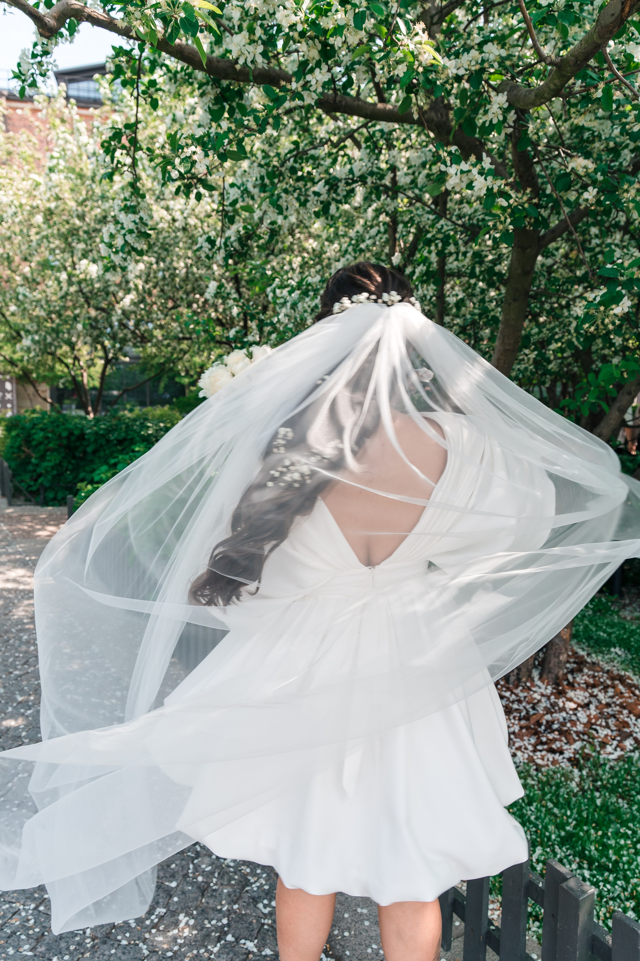 Максим + Яна