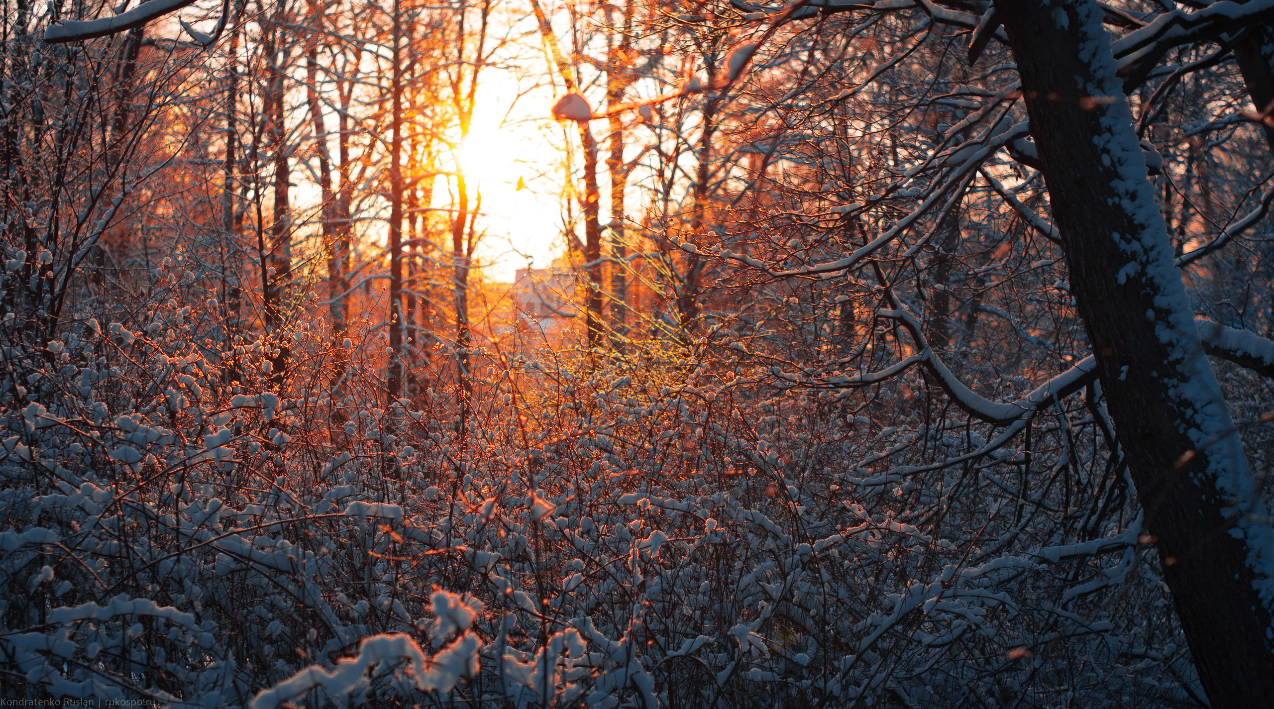 Ленинградская область. Архитектурный и пейзажный фотограф Кондратенко Руслан, Санкт-Петербург