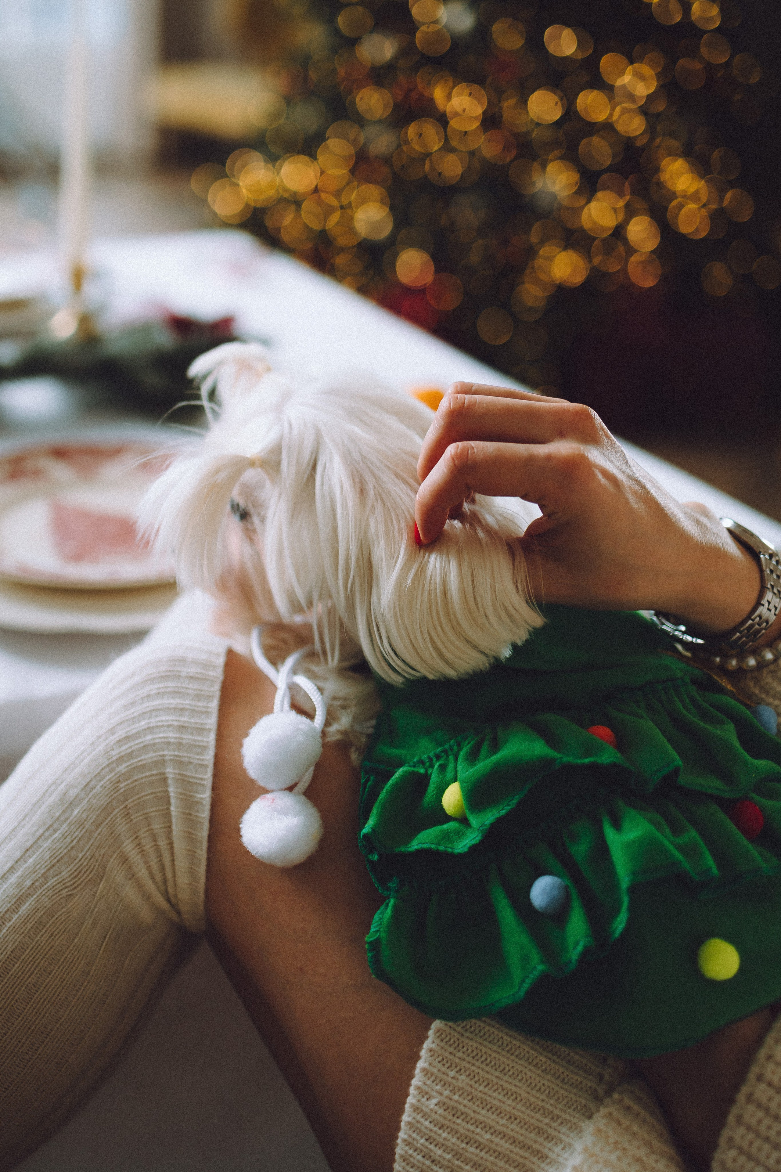 Констанция и Молли