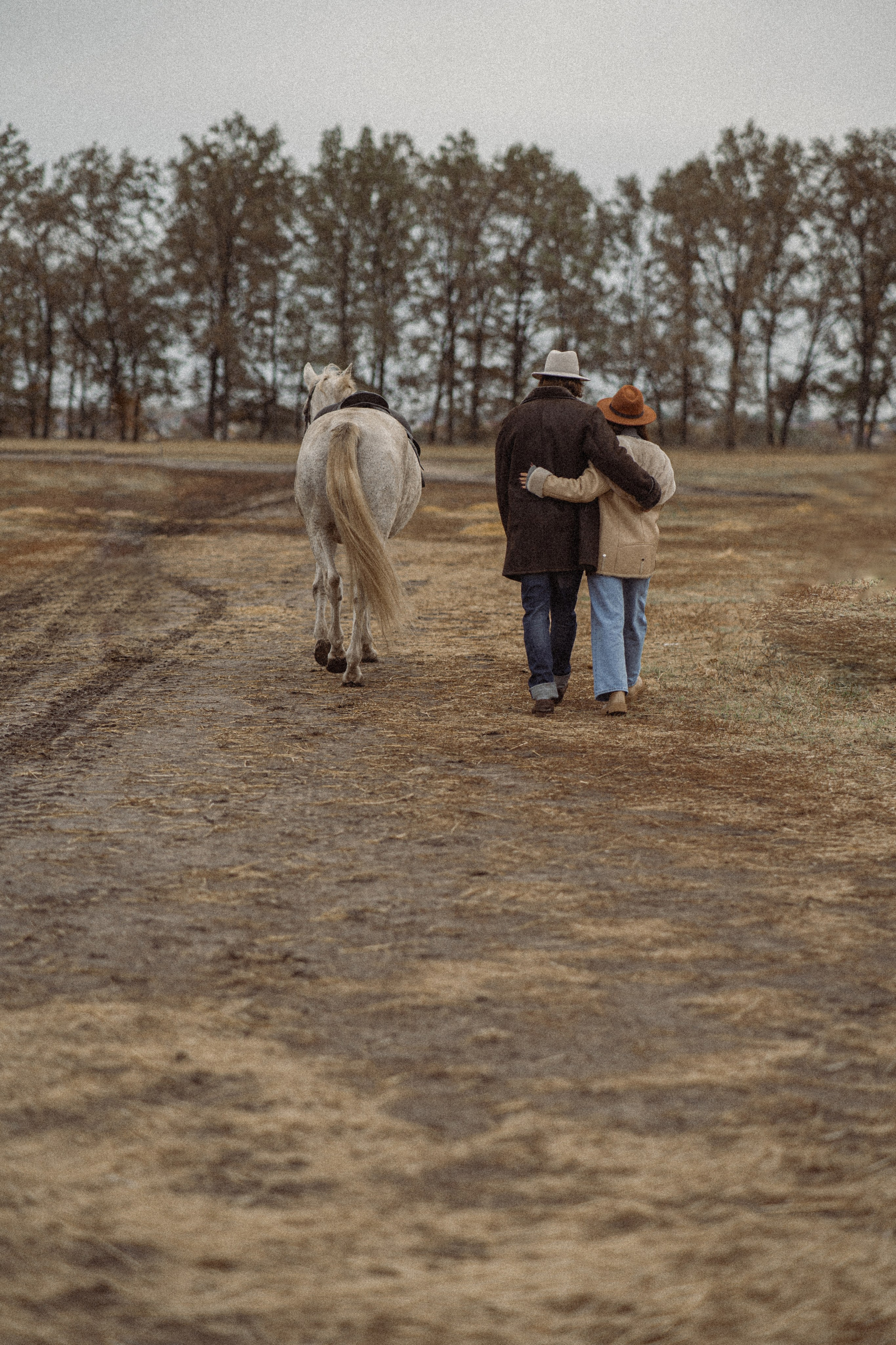 Конюшня. Фотограф Мария Зайчик