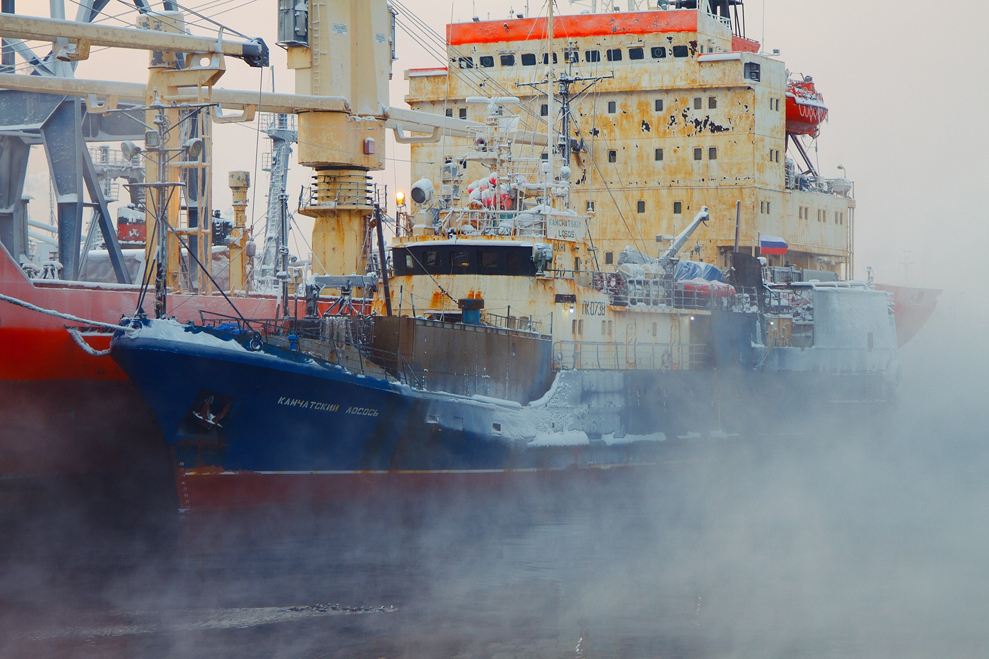 Фотограф Алексей Седойкин