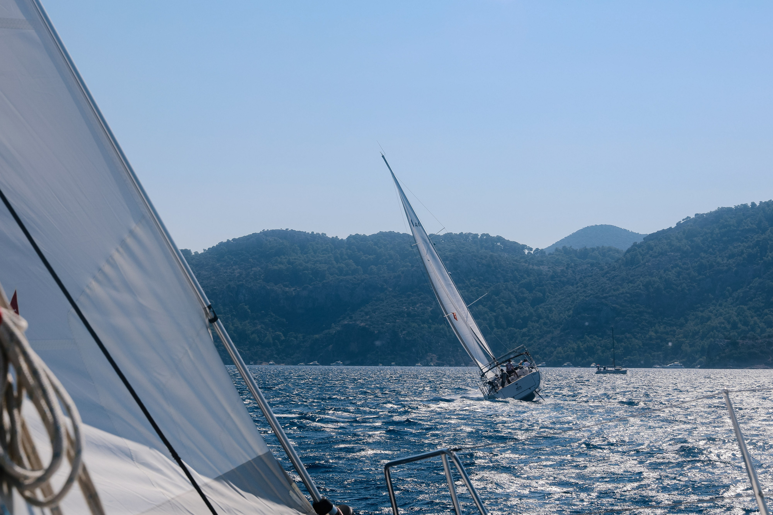 Фармрегата. Свадебный фотограф Москва Анна Шилова
