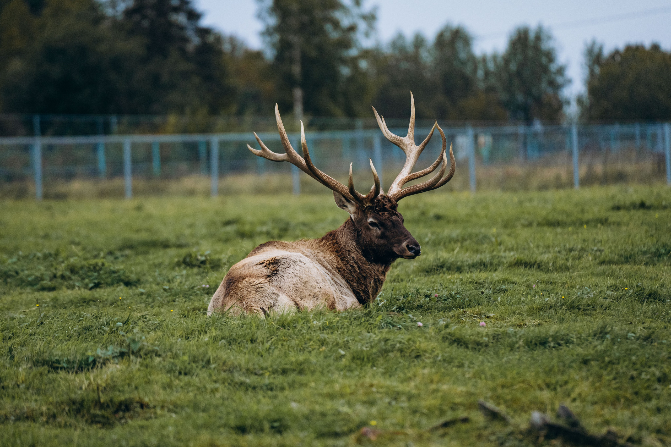 СЕВЕР. Event фотограф Степанова Александра