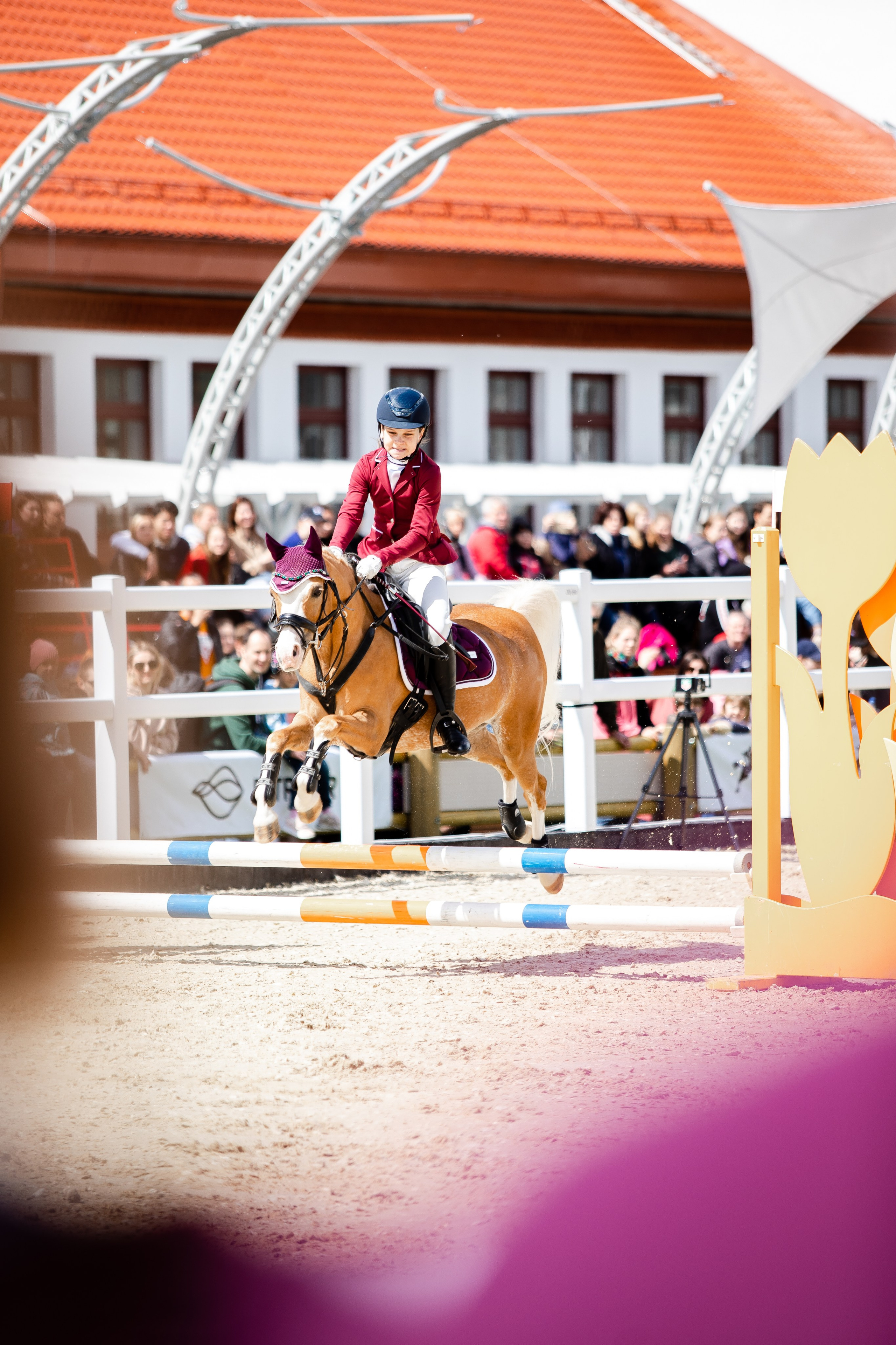 Турниры. Veronika Makeeva horse photo