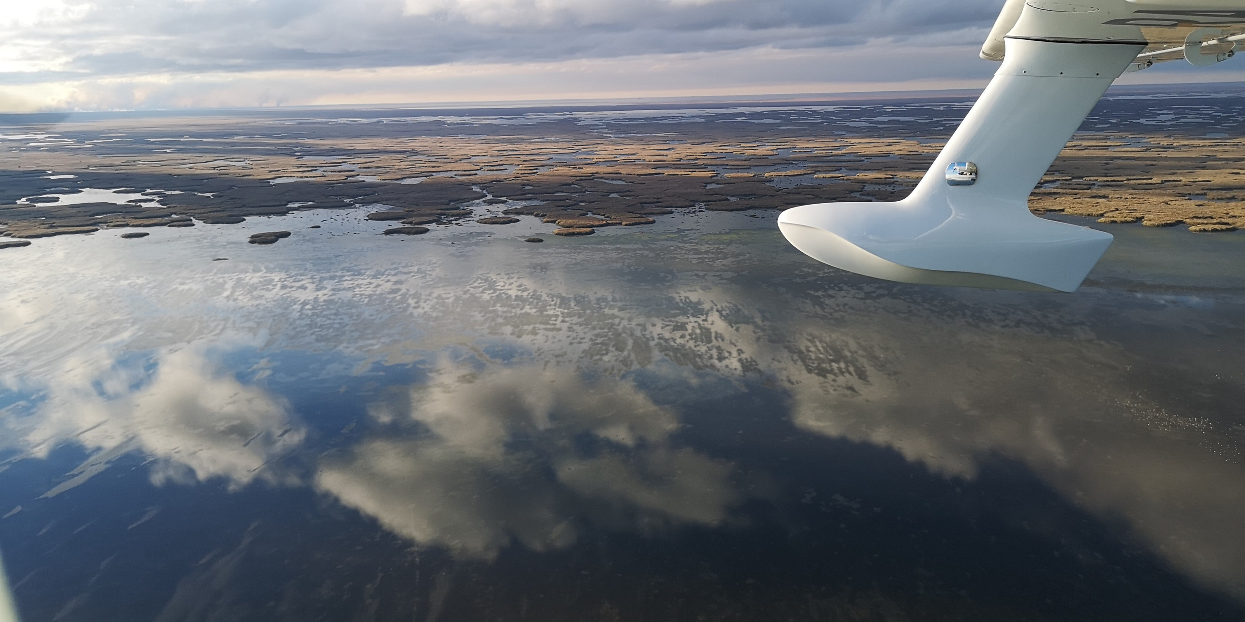 Каспийское море (наука на Ла-8) (2021 г.). Фотоальбом показывающий увлекательный мир авиации и мир медведей Андрея Иванова