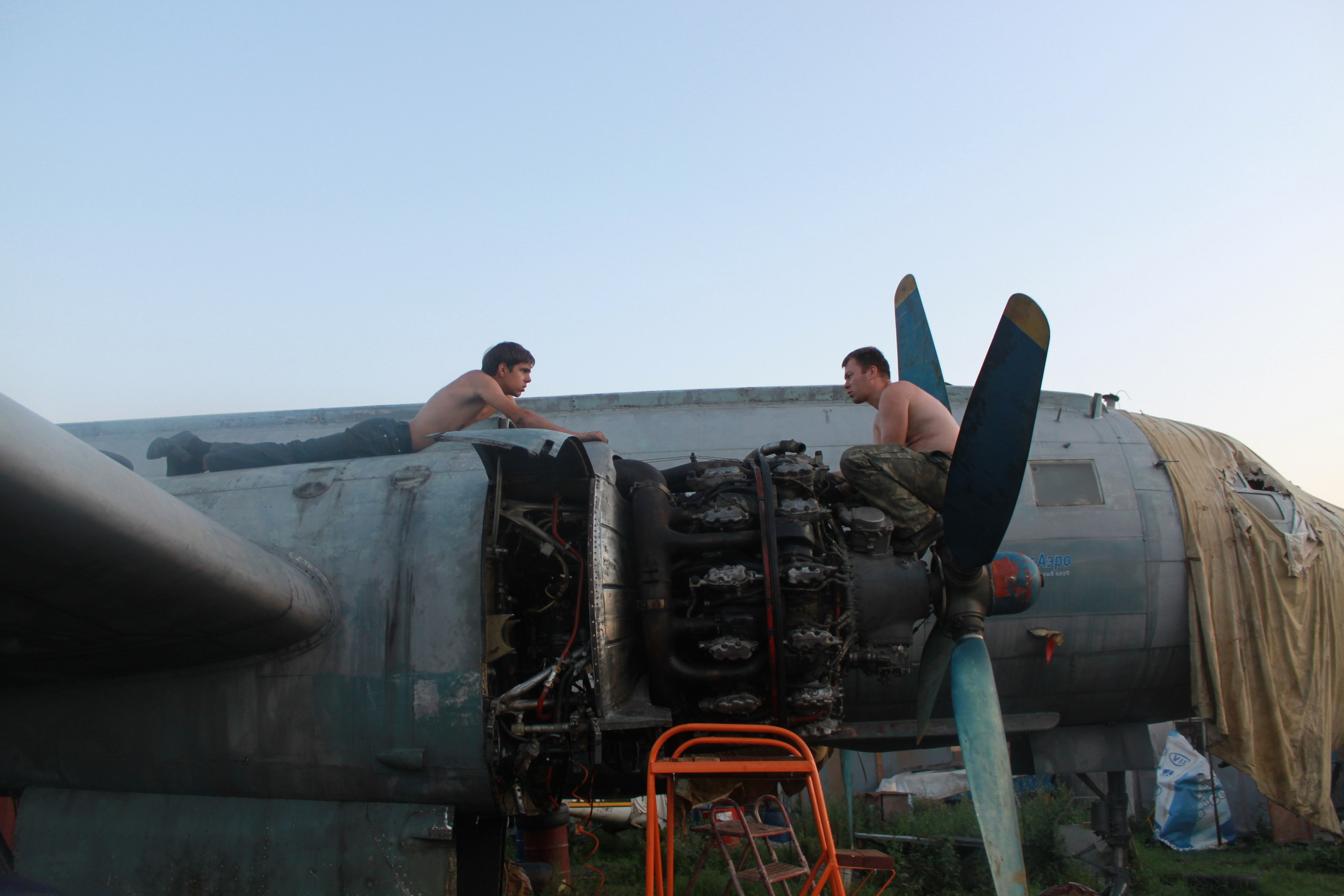 Ил-14Т «Голубая Мечта» работы в Тушино (2011 г.). Фотоальбом показывающий увлекательный мир авиации и мир медведей Андрея Иванова