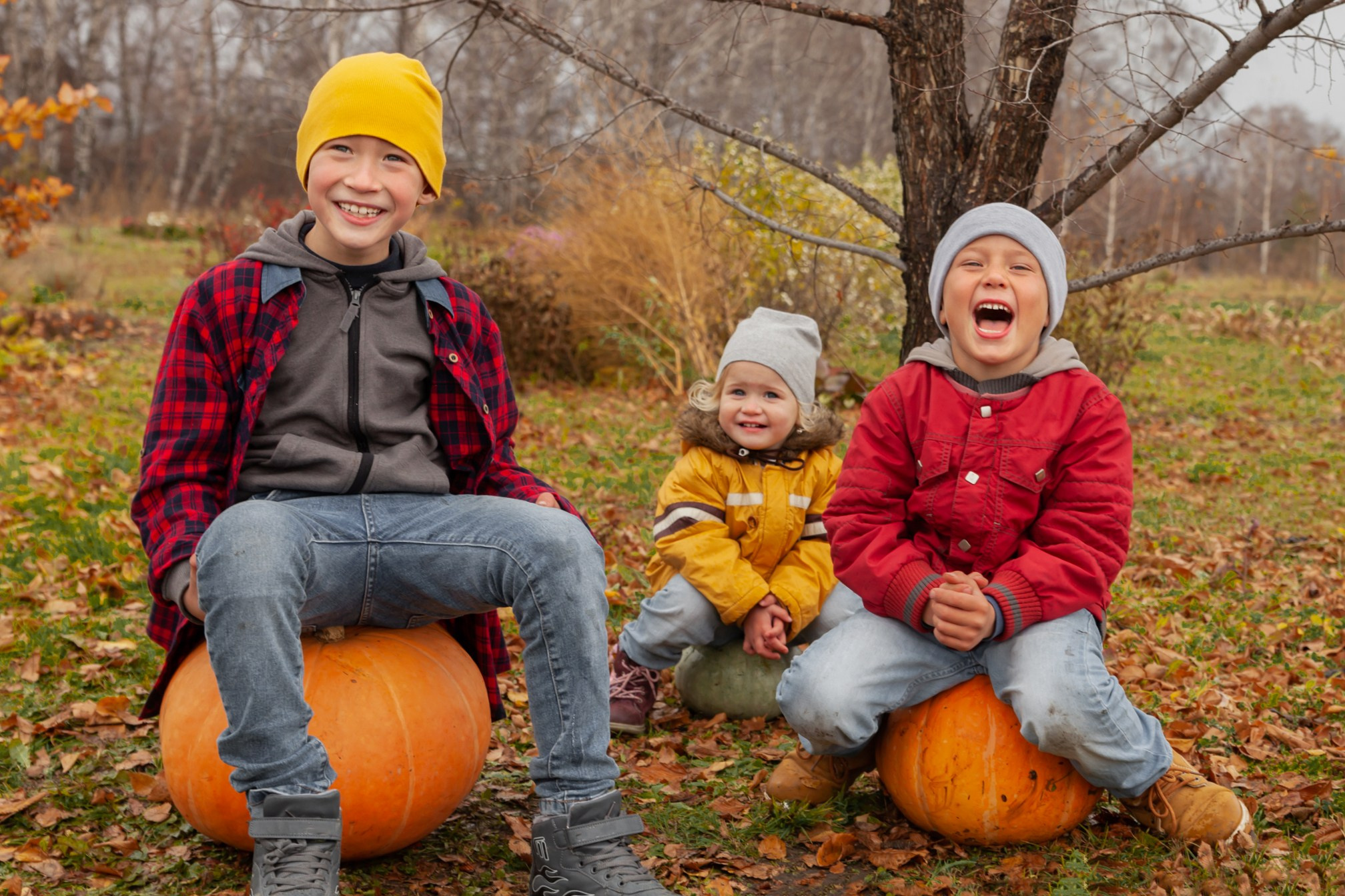 Осень. Детский и семейный фотограф в Бердске и Новосибирске Дарья Гребнева