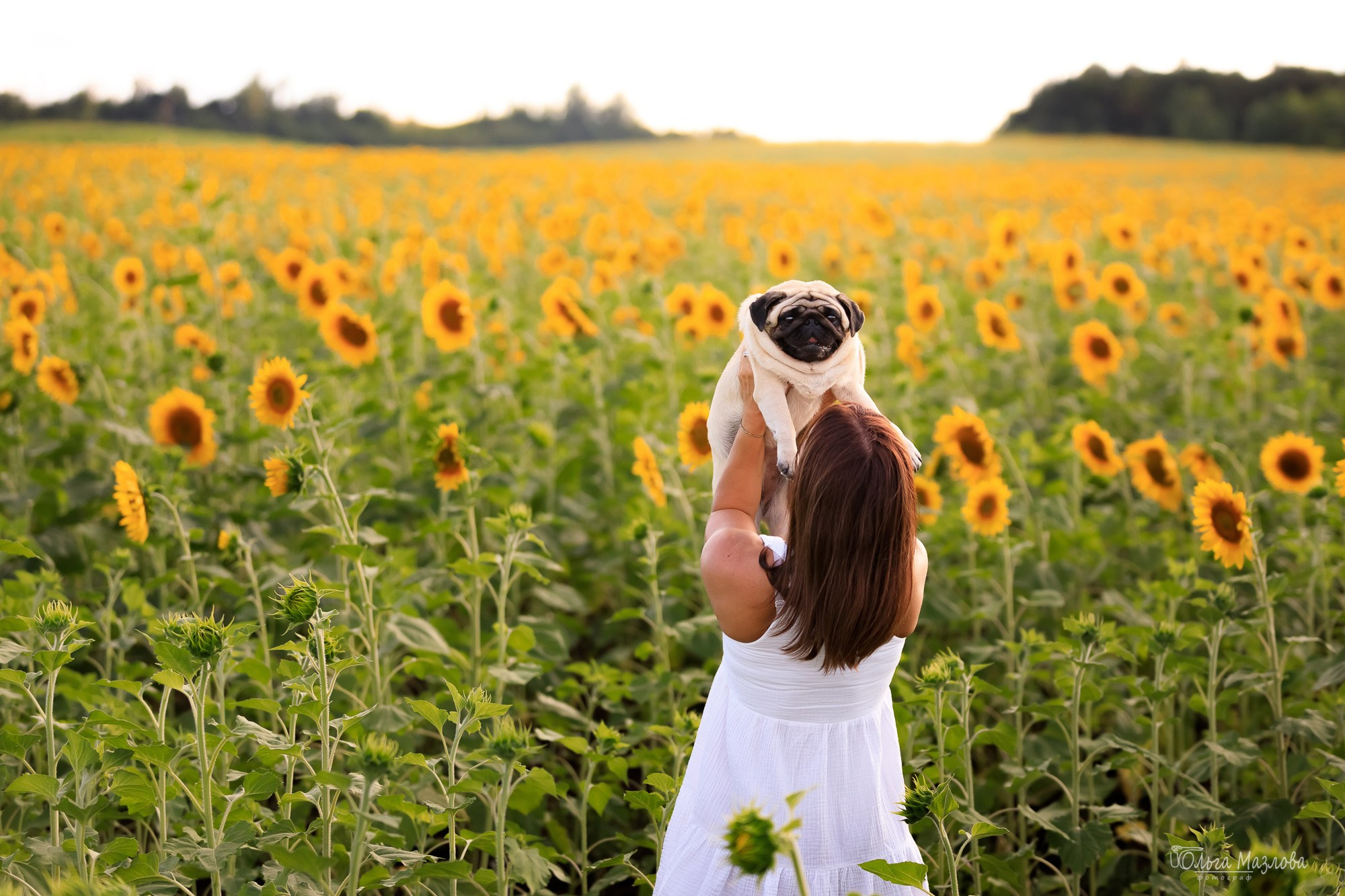 фотограф Саратов