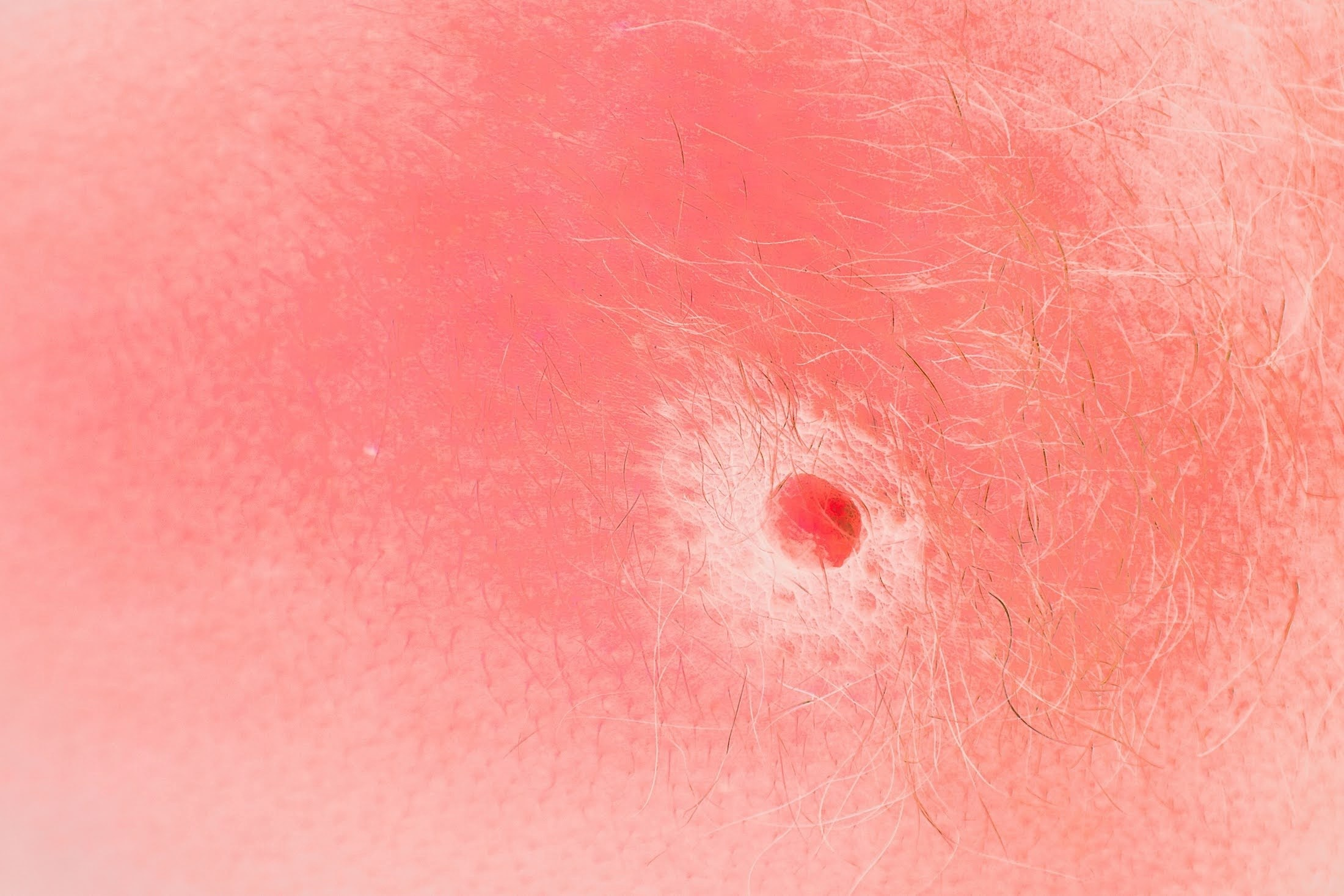 Яблоко. Катерина Малама арт-фотограф