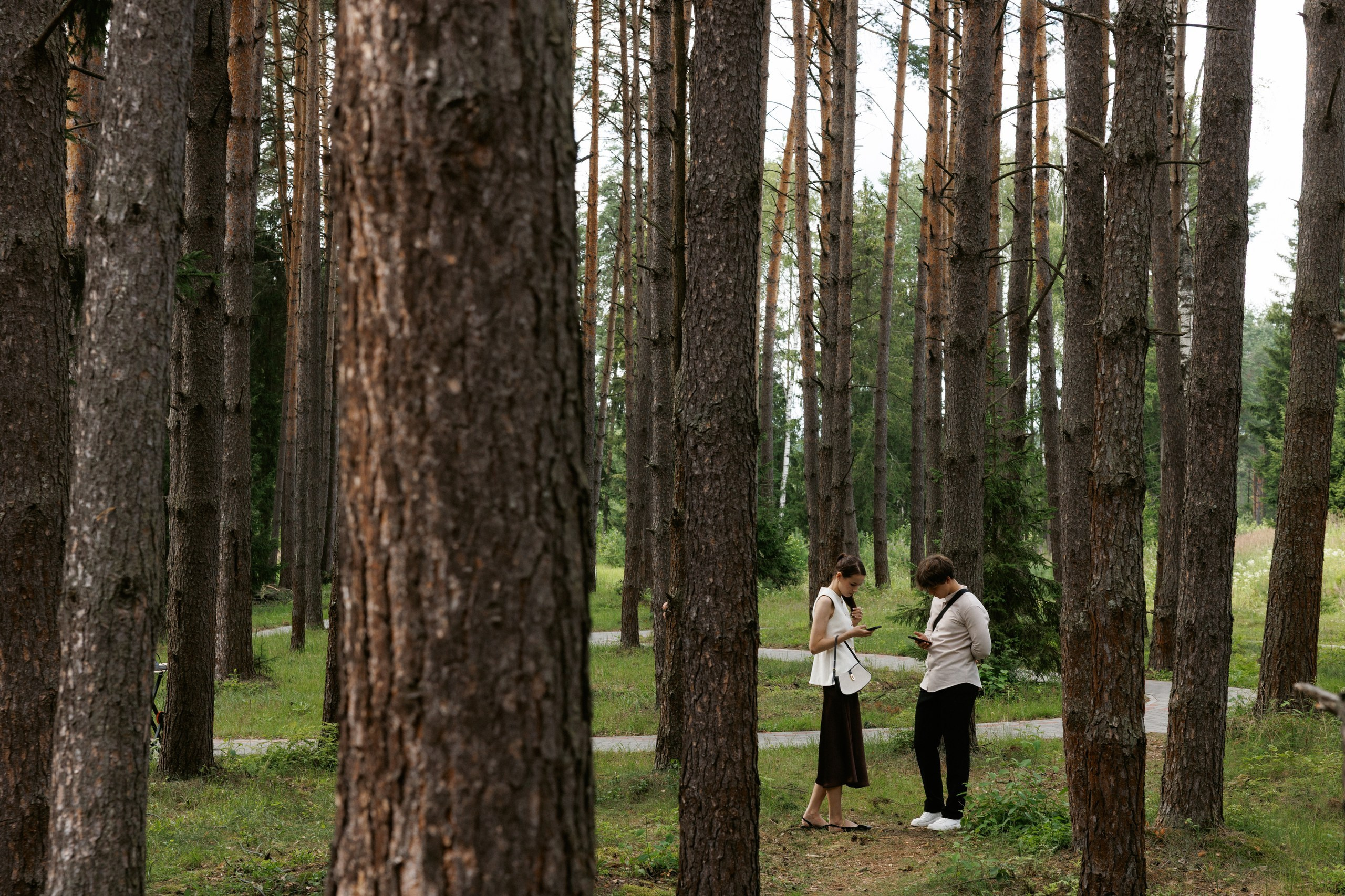 Свадьба под шёпот деревьев. Свадебный и семейный фотограф в Твери, Москве, Санкт-Петербурге