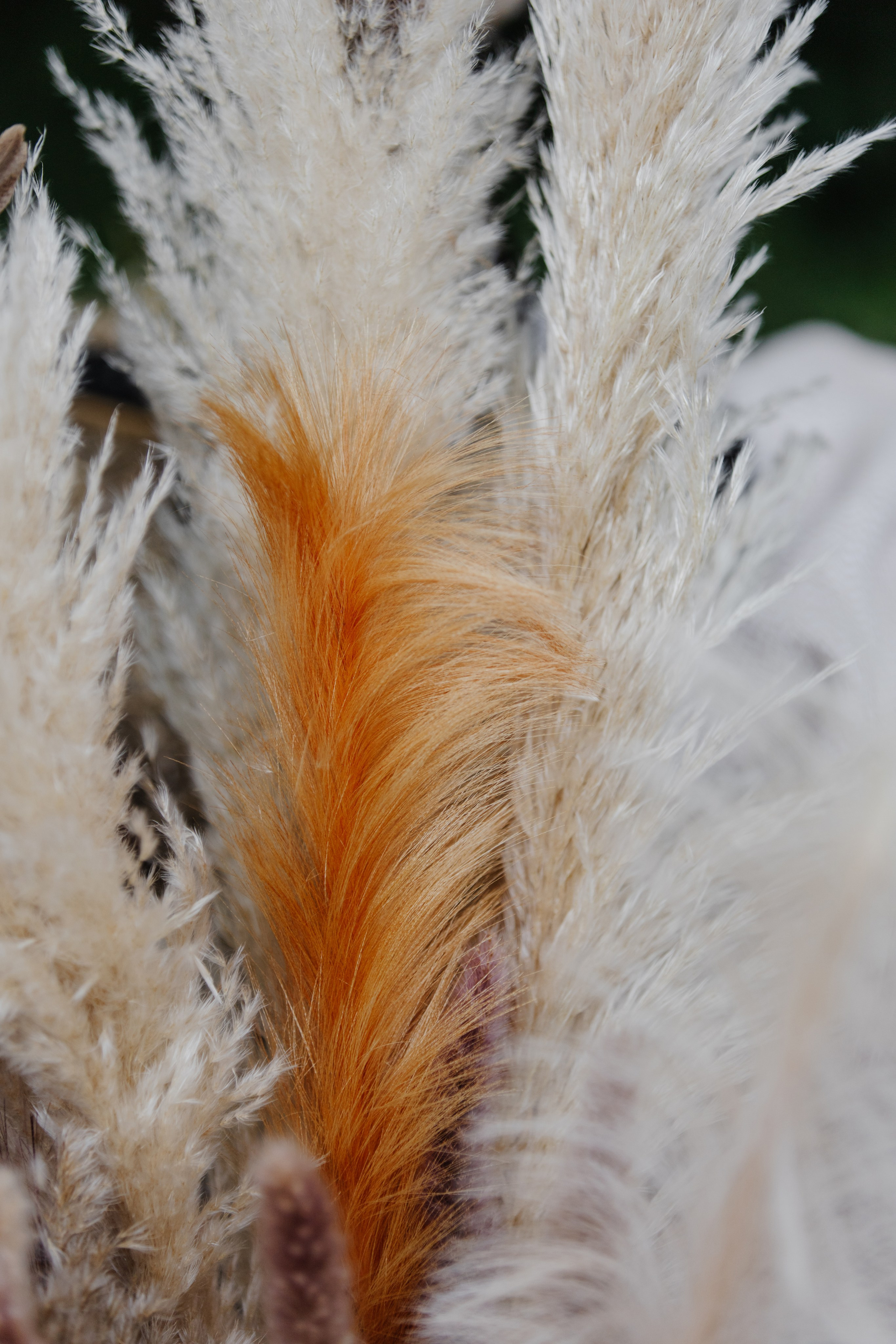 ГРЕНАДА. Фотограф в Красноярске