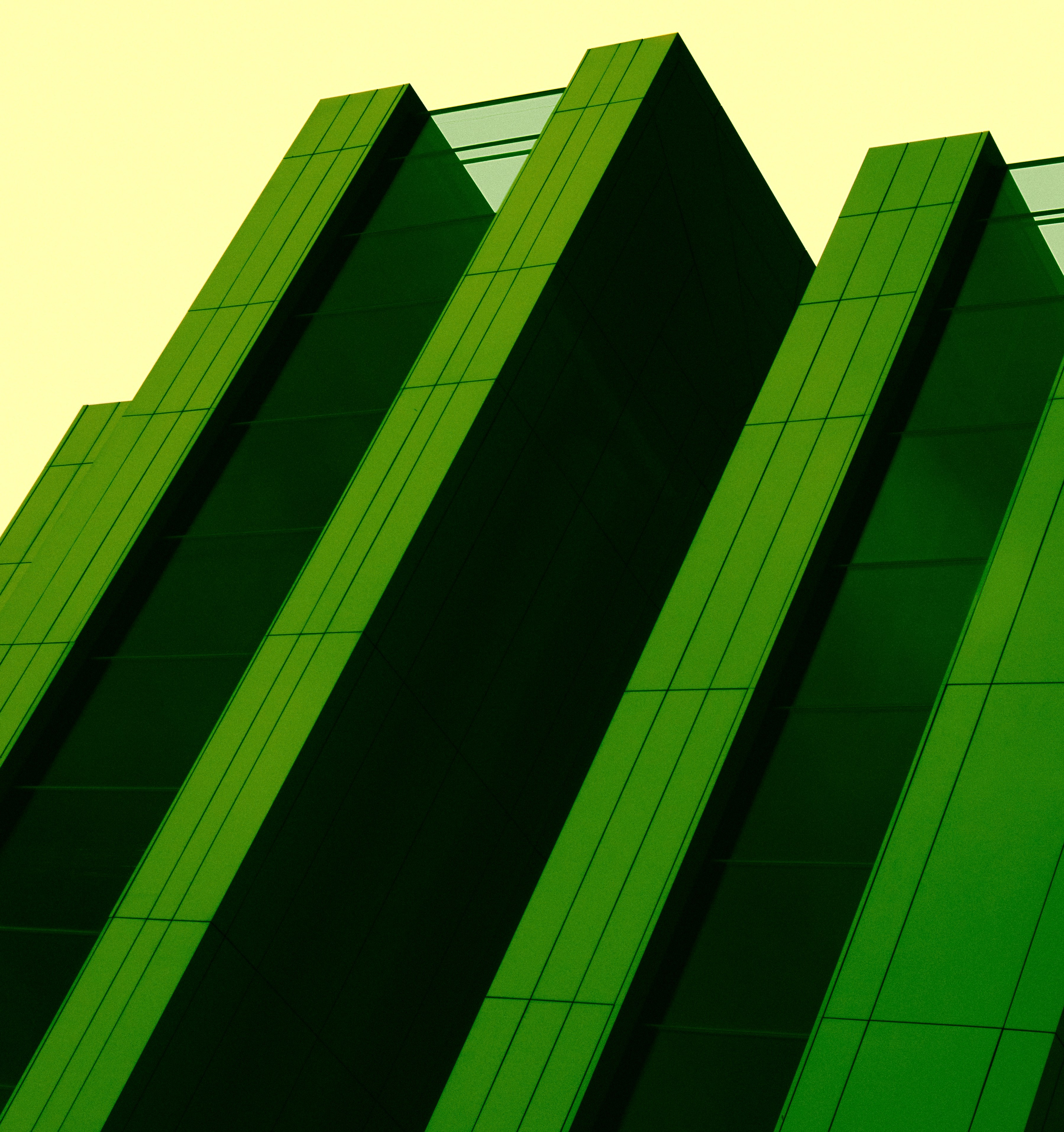 CVET — Сафонов Владислав. Сафонов Владислав, фотохудожник