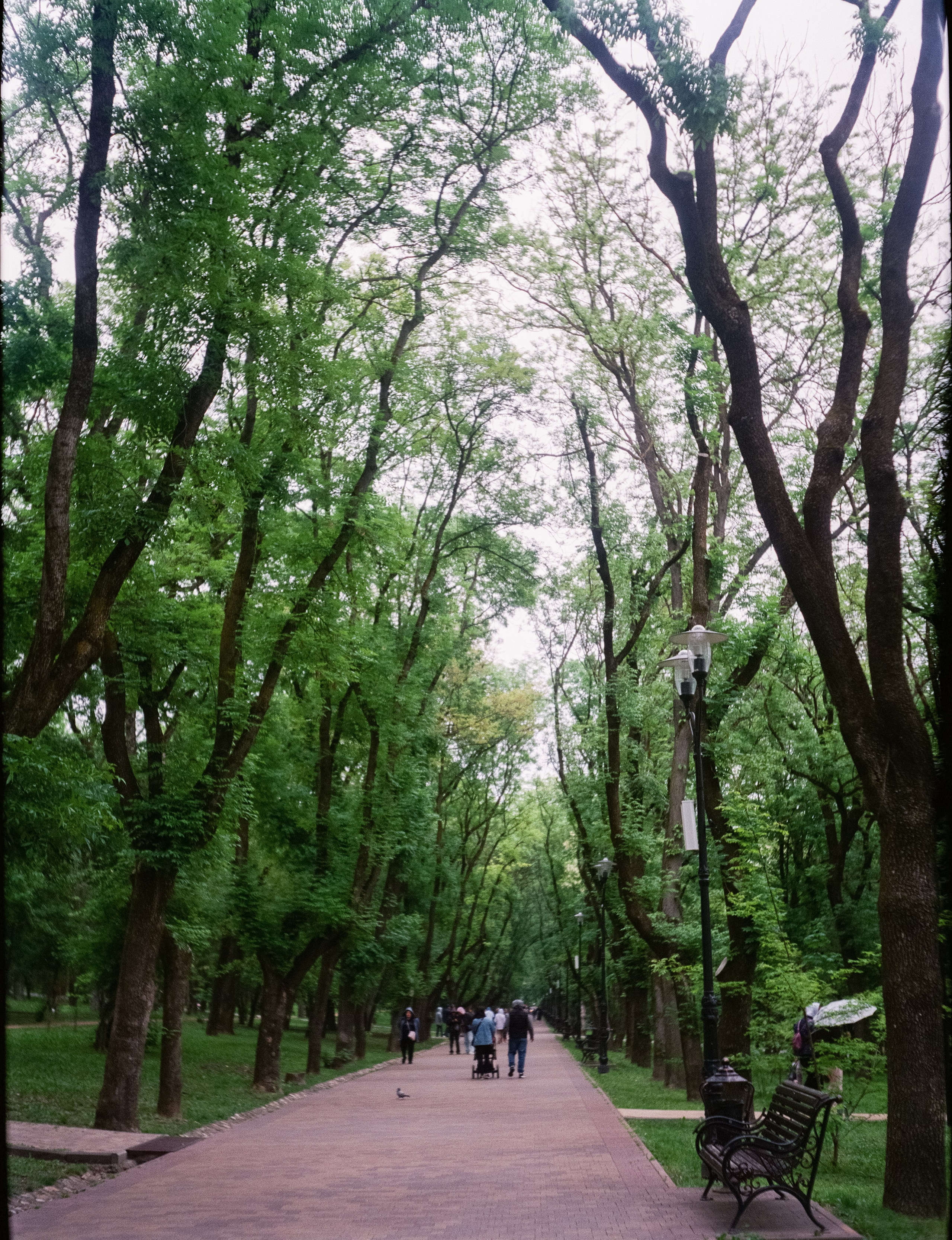 Пятигорск, Ессентуки, трасса / Konishiroku (Konica) Pearl II