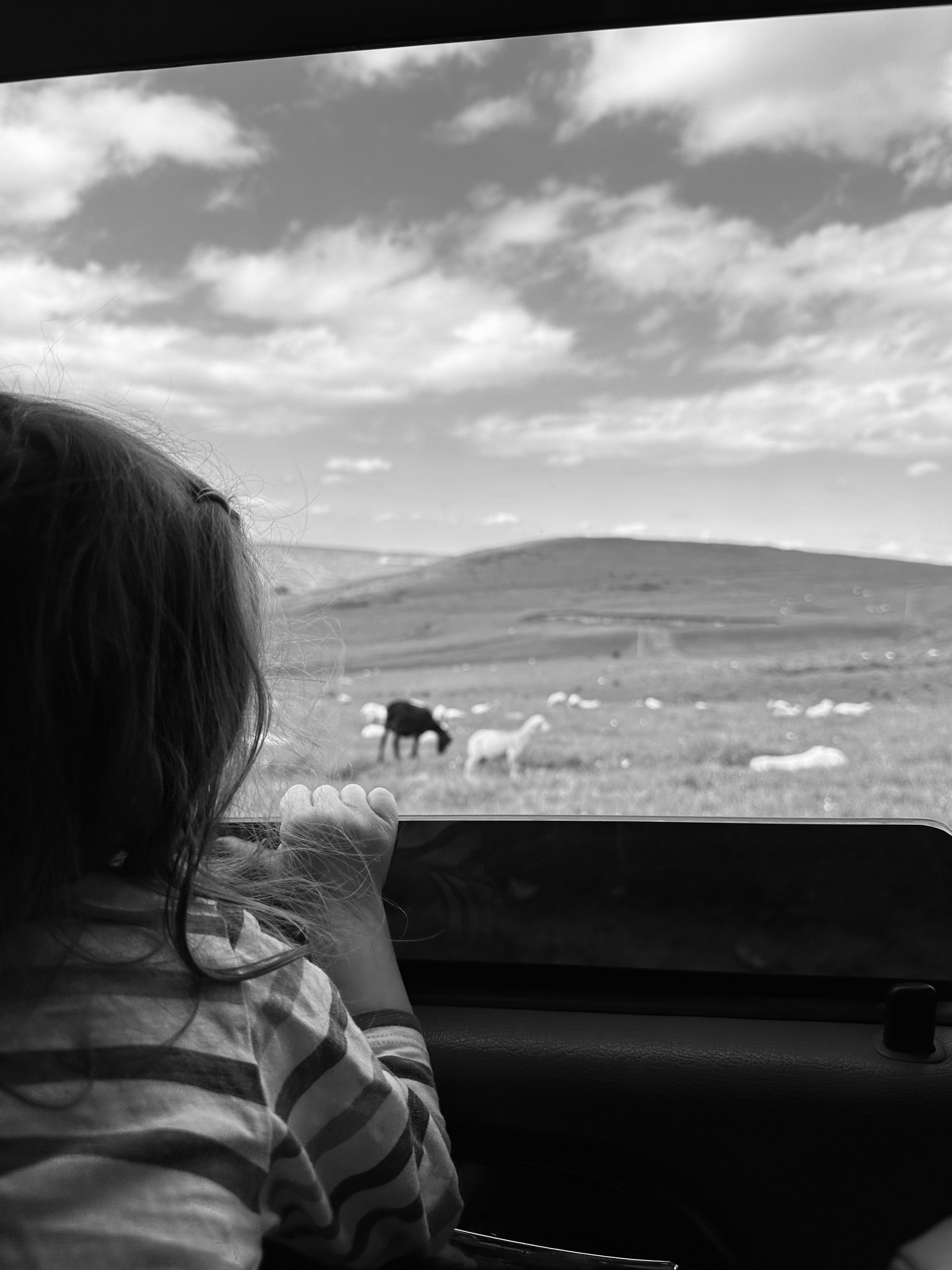 Дети. Смотри, красота!