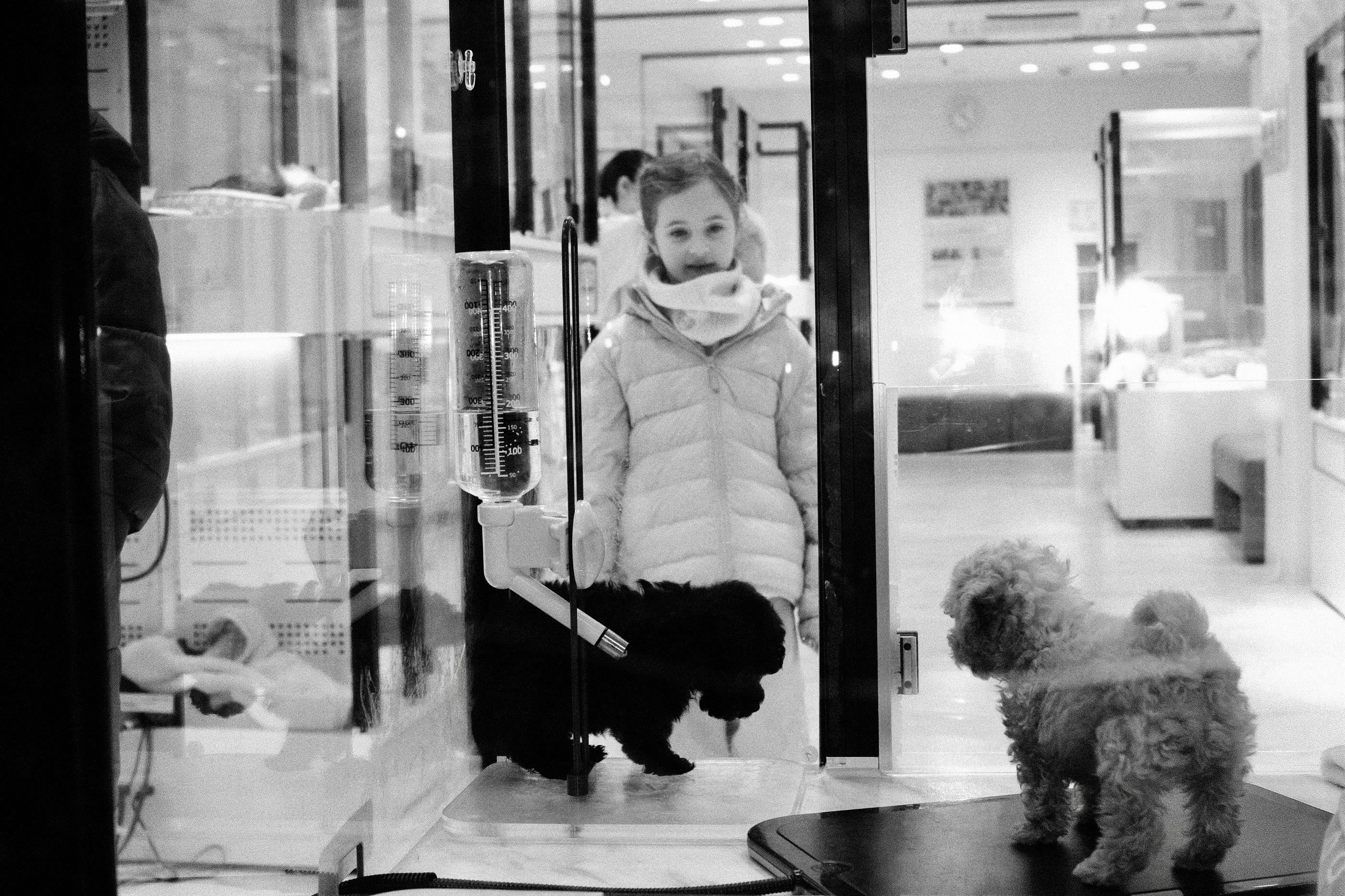 Faces of Tokyo. Regina Platonova