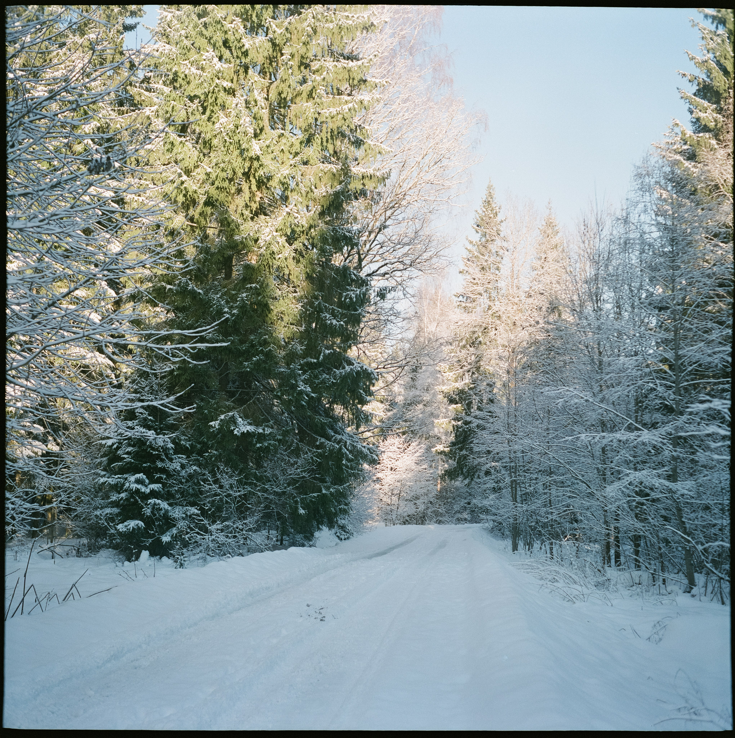 Super Fujica-6 примеры фотографий