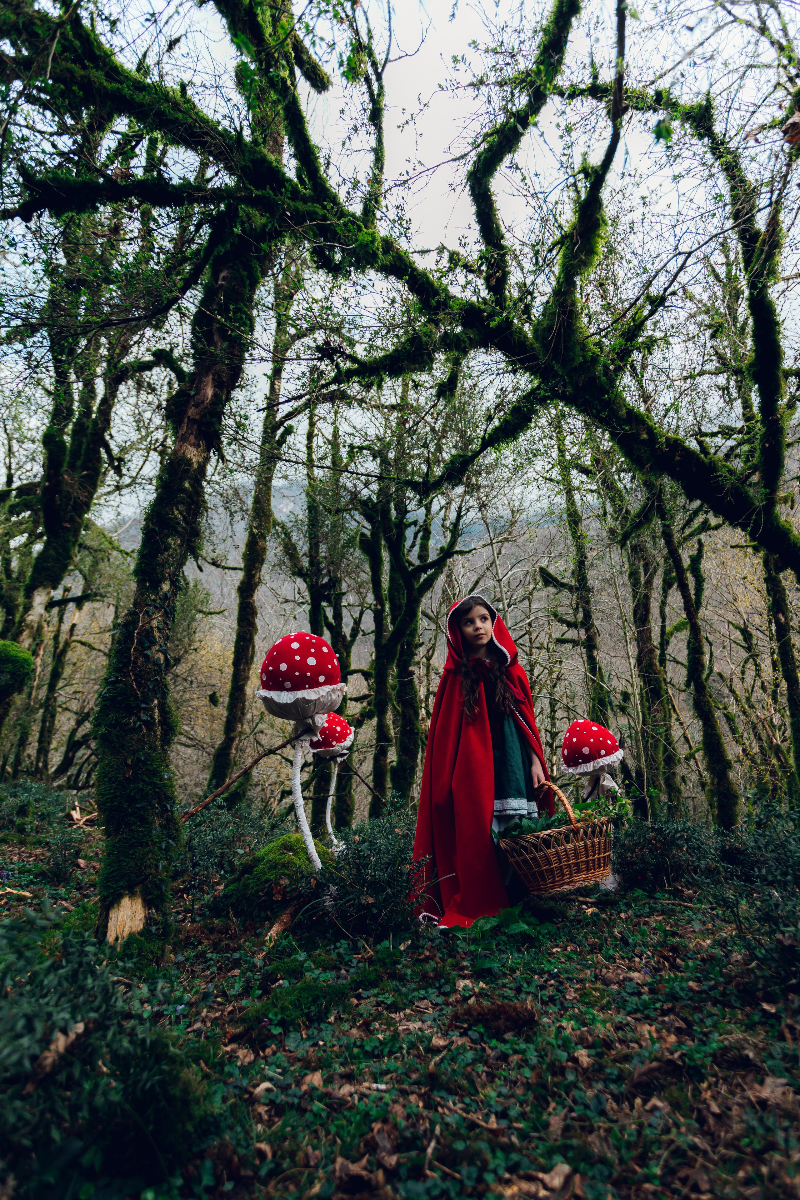 Самшитовая роща. Семейный и художественный фотограф в Тюмени Юлия Логинова