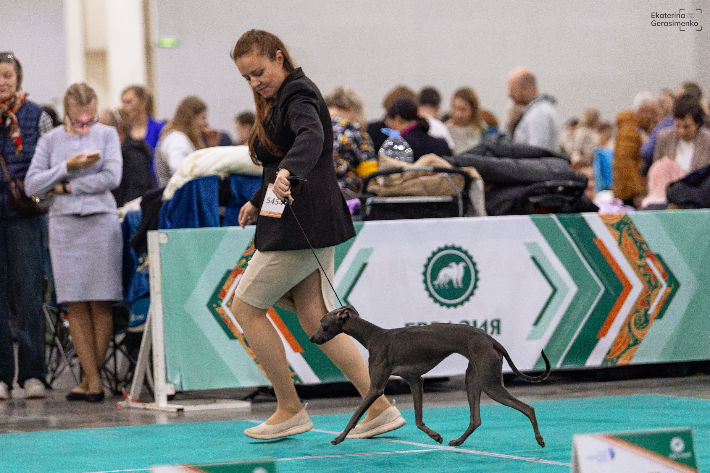 16–17 ноября 2024, Выставка ЕВРАЗИЯ, г. Москва. Htykk_photo