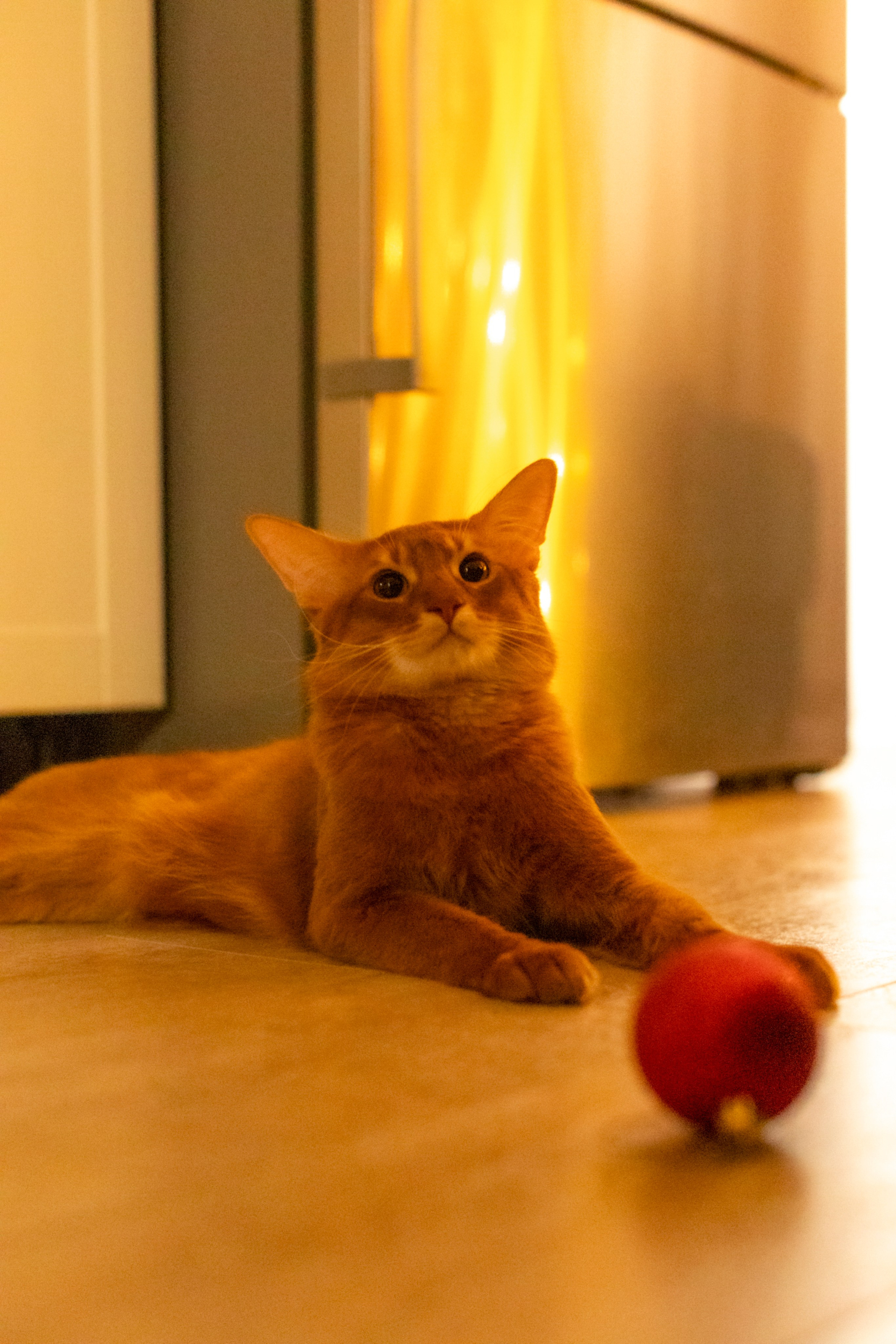 Сомали. Art my Pho