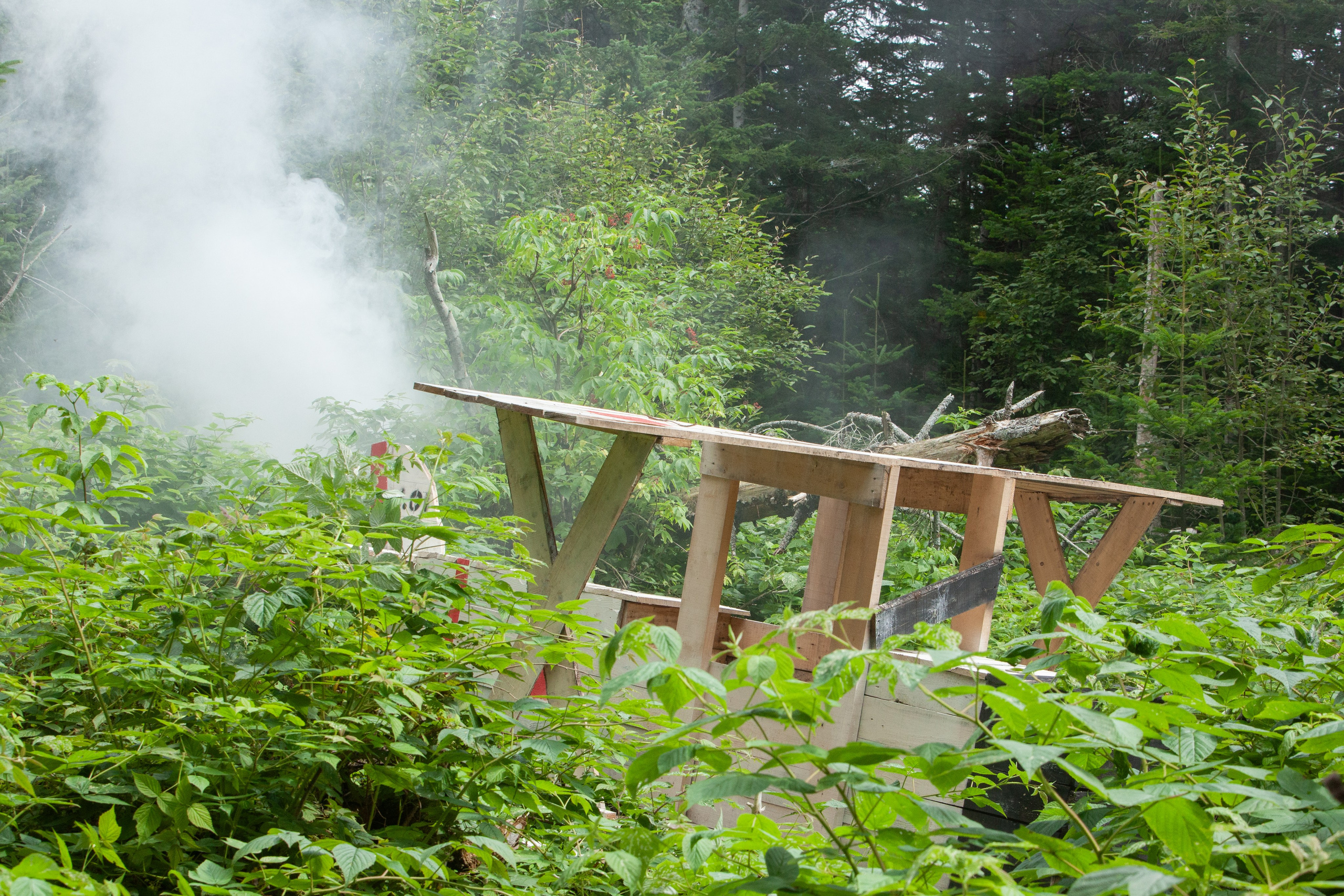 «Побег из Таркова». Кутузов Евгений Фотограф в Южно-Сахалинске