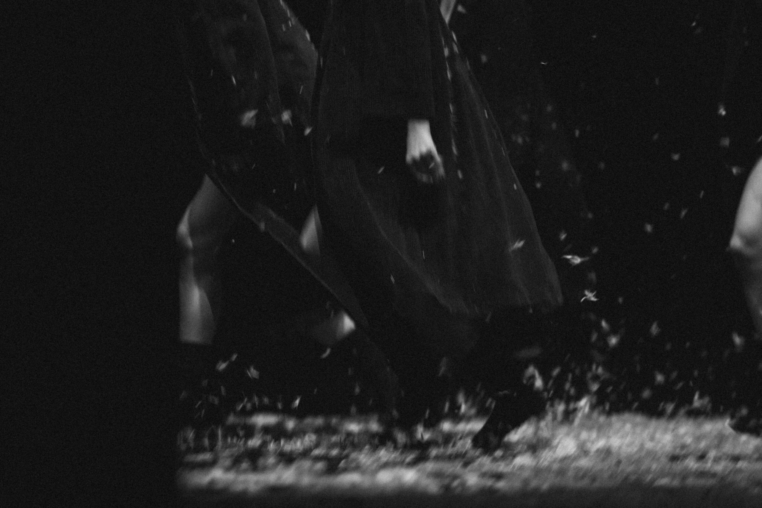 WIND. Виолетта Скрипка