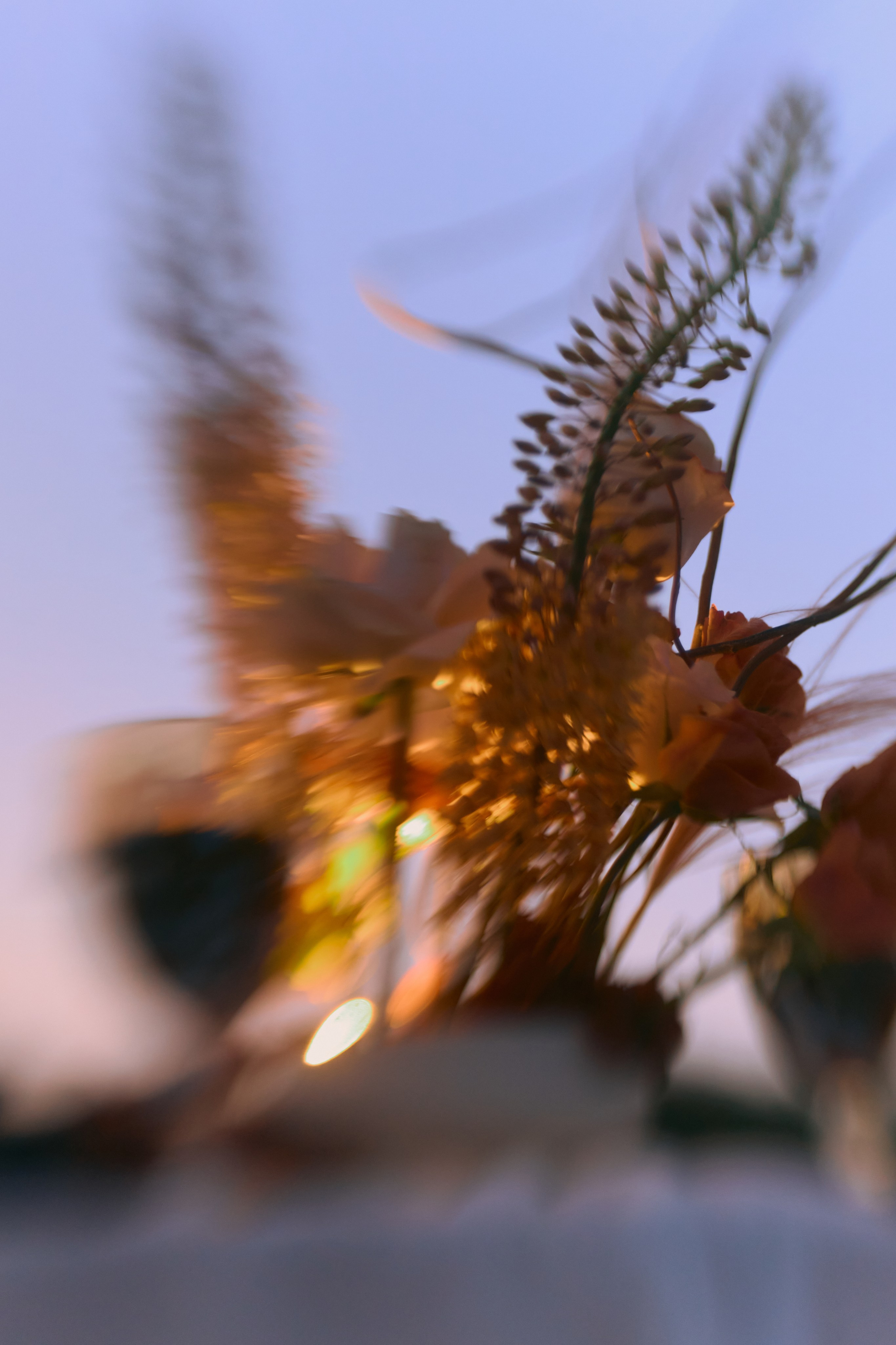 Анна и Евгений. Фотограф в Ростове-на-Дону