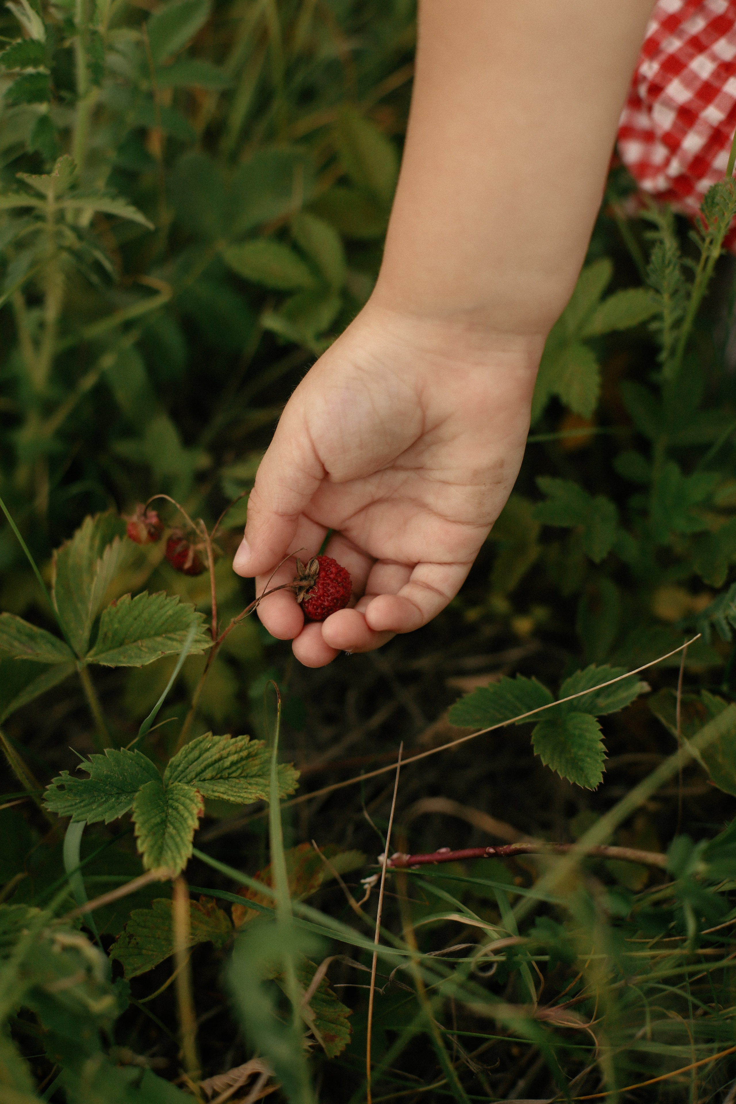 Дети. Семейный фотограф в Ставрополе Кристина Ткаченко