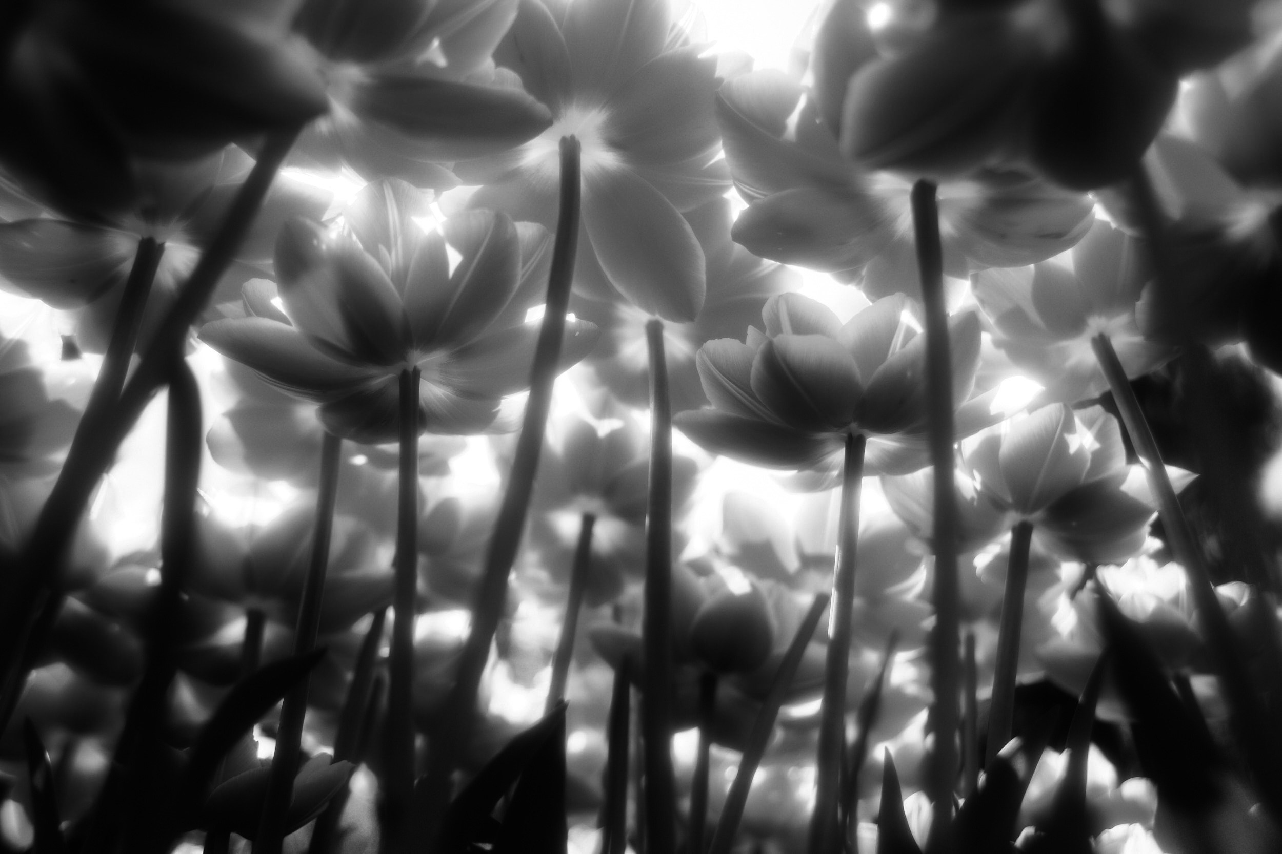 Фотограф Юлия Глазкова