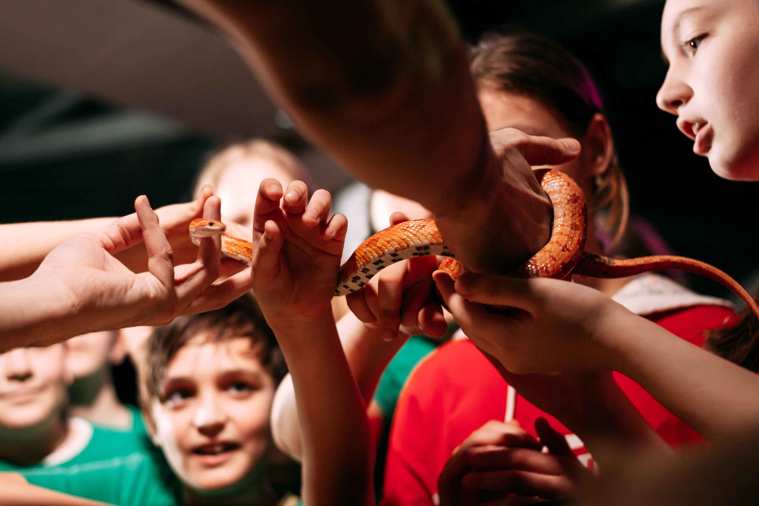 Форт Боярд. Свадебный Семейный Репортажный фотограф в Москве