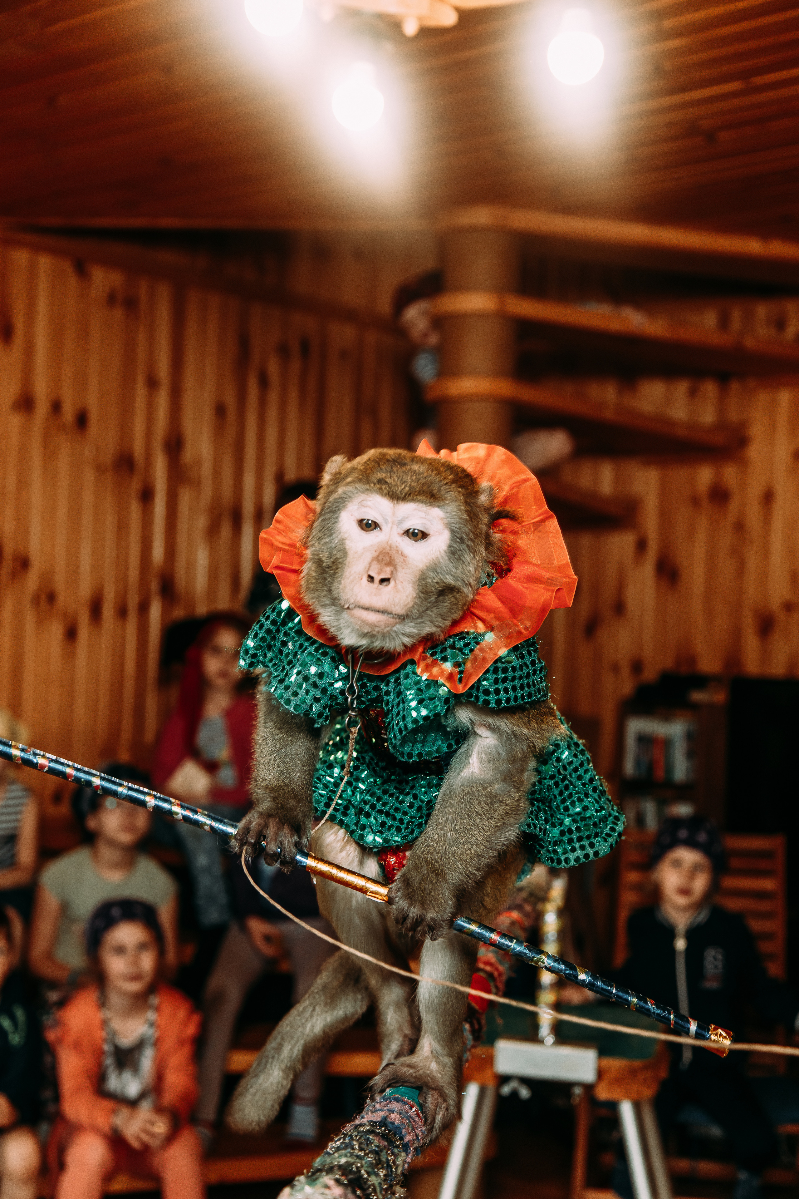 Пираты бури не боятся. Свадебный Семейный Репортажный фотограф в Москве