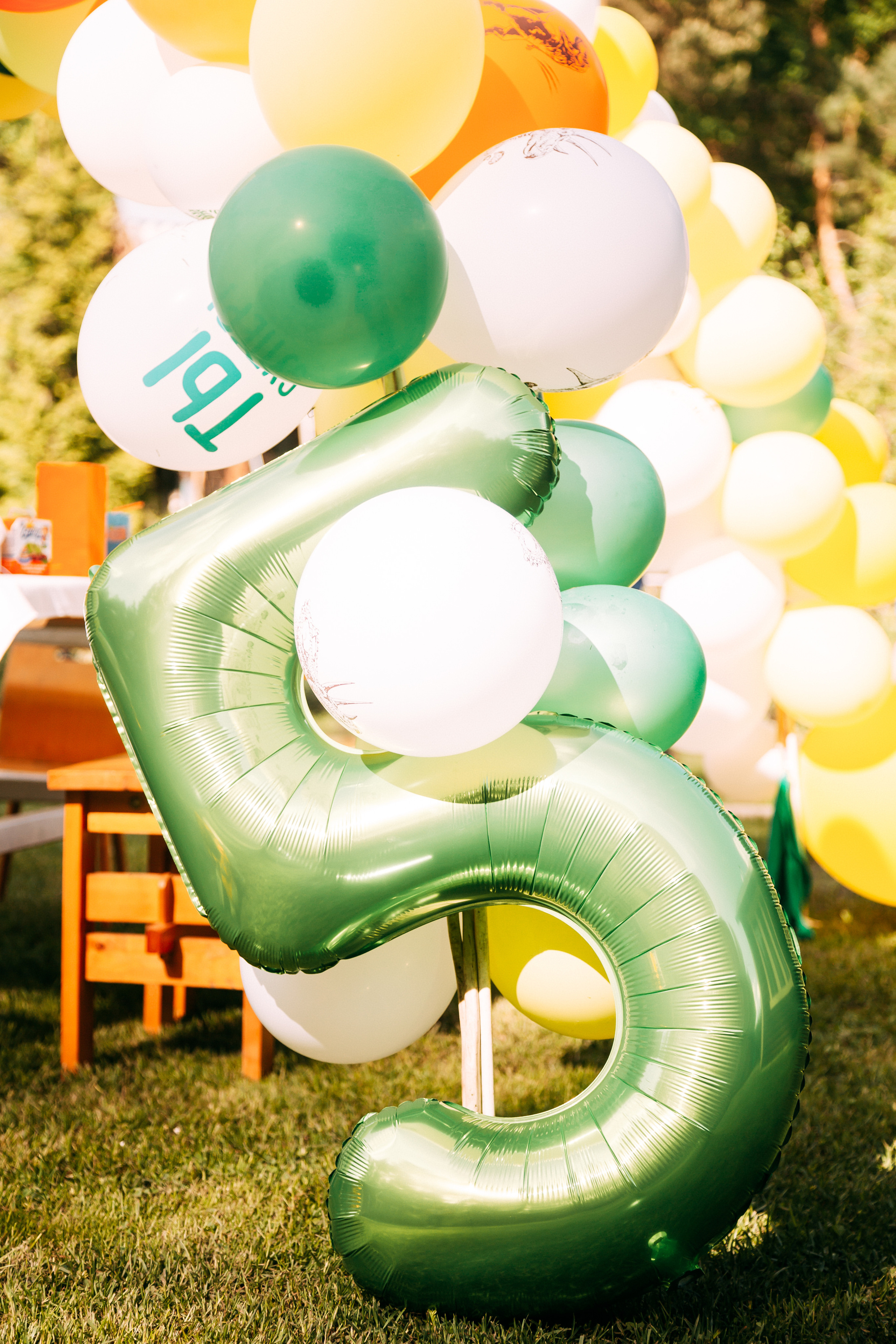 Трансформеры. Свадебный Семейный Репортажный фотограф в Москве