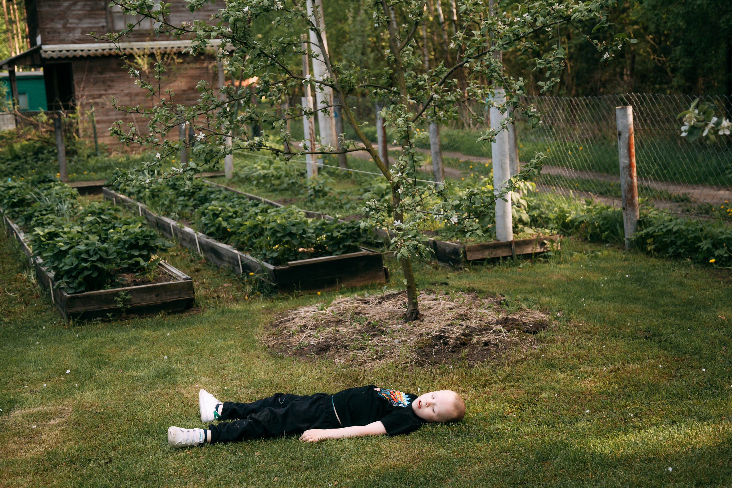 Трансформеры. Свадебный Семейный Репортажный фотограф в Москве