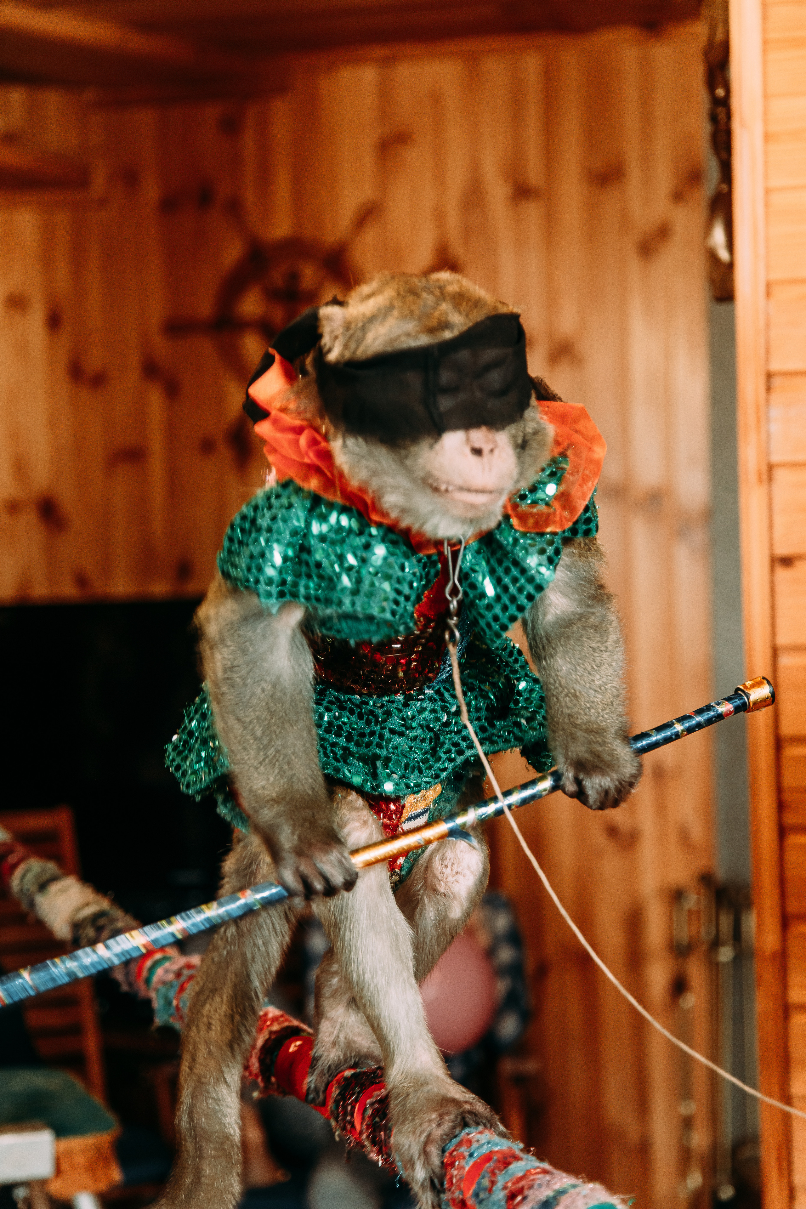 Пираты бури не боятся. Свадебный Семейный Репортажный фотограф в Москве