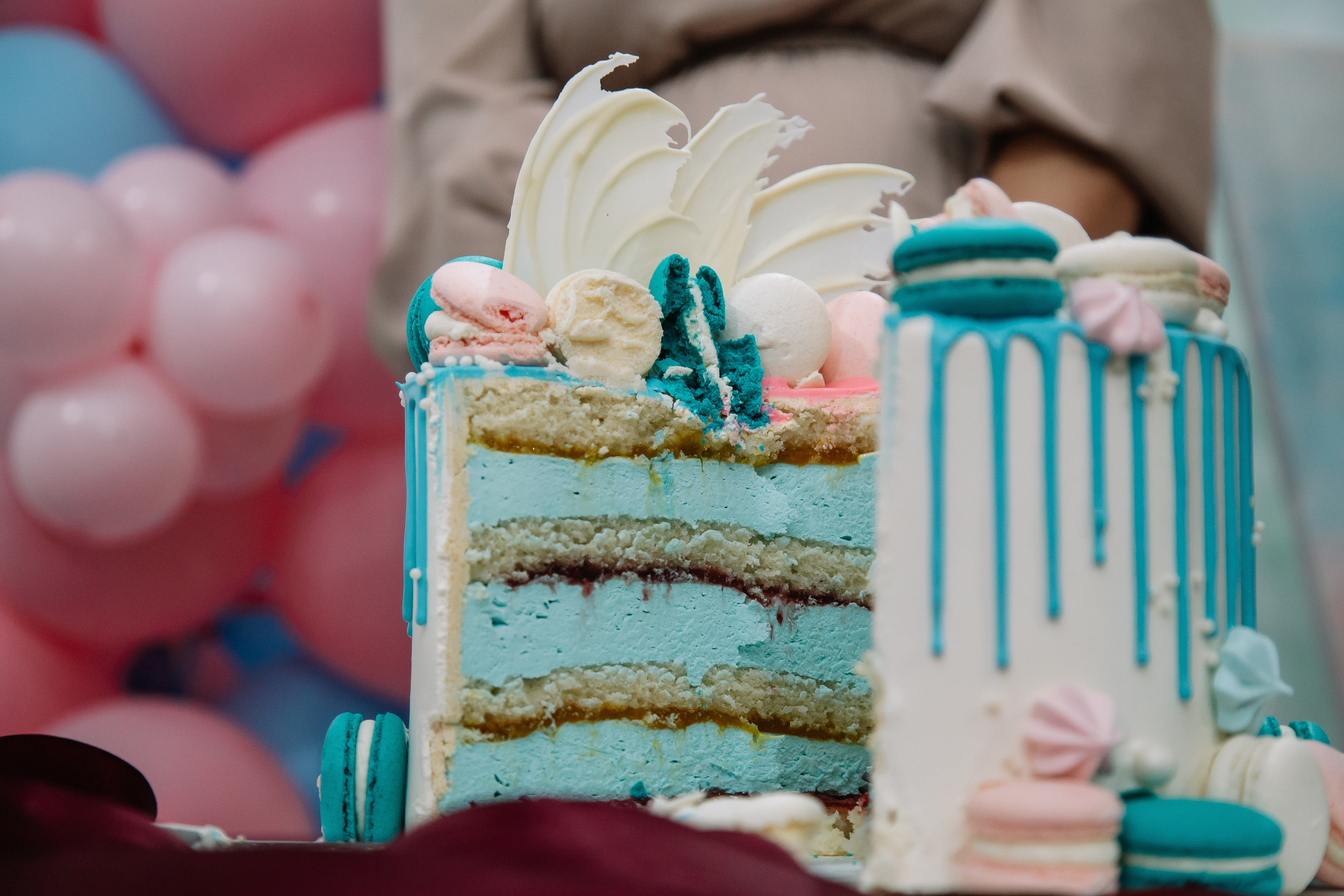 Гендер пати. Свадебный Семейный Репортажный фотограф в Москве