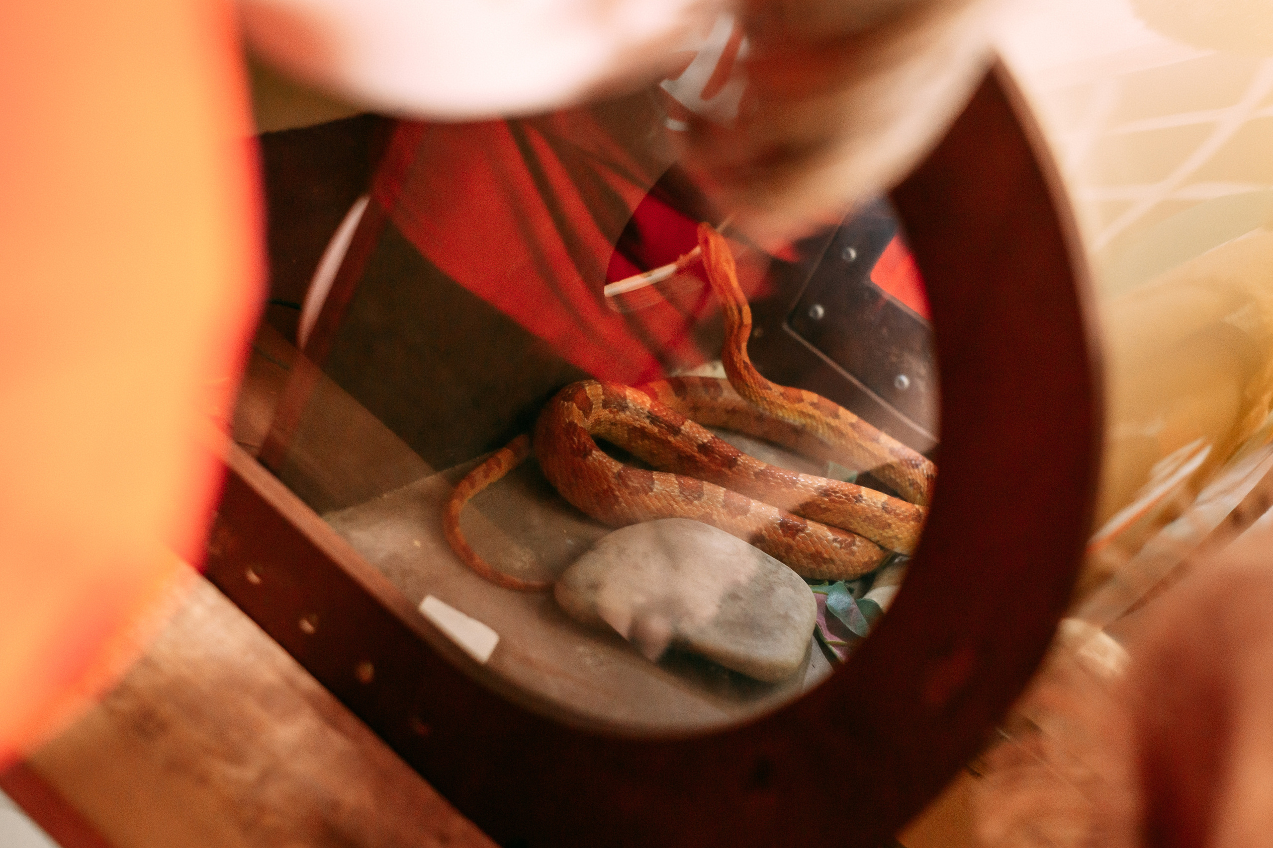 Форт Боярд. Свадебный Семейный Репортажный фотограф в Москве