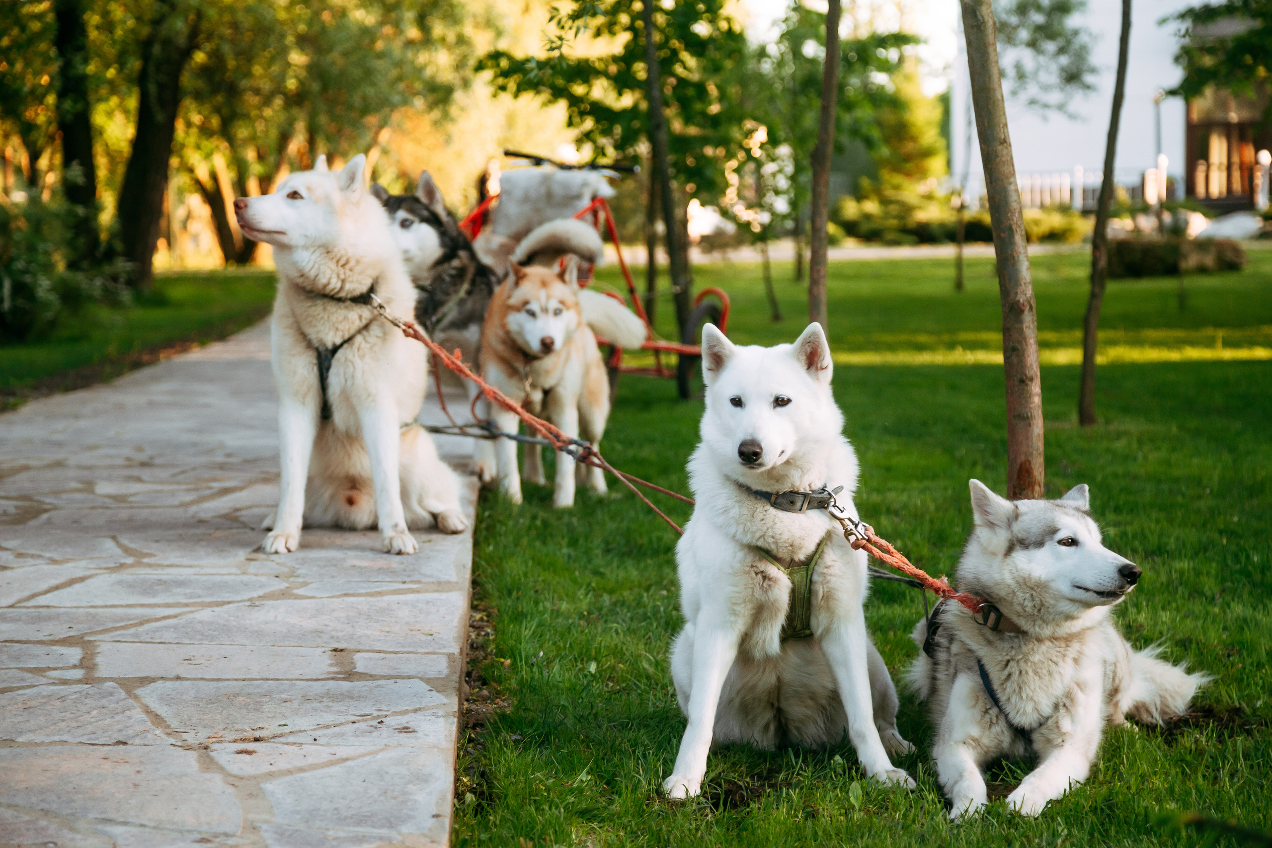 В кругу самых близких. Свадебный Семейный Репортажный фотограф в Москве
