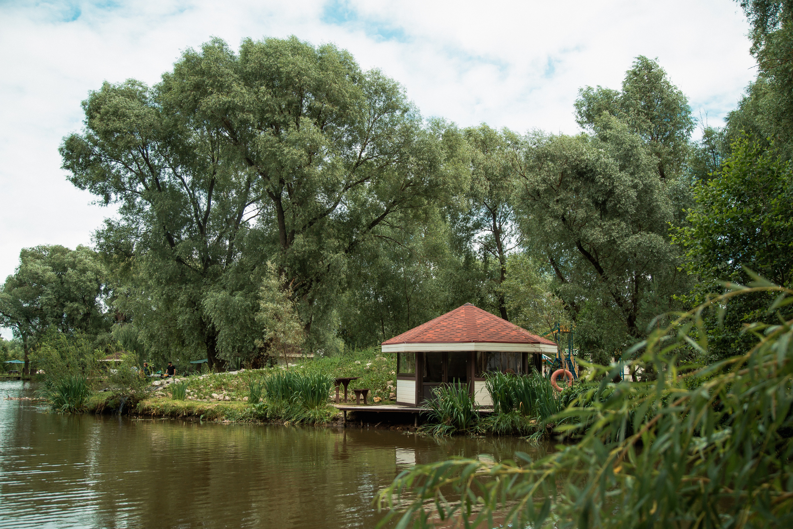 16 лет. Свадебный Семейный Репортажный фотограф в Москве