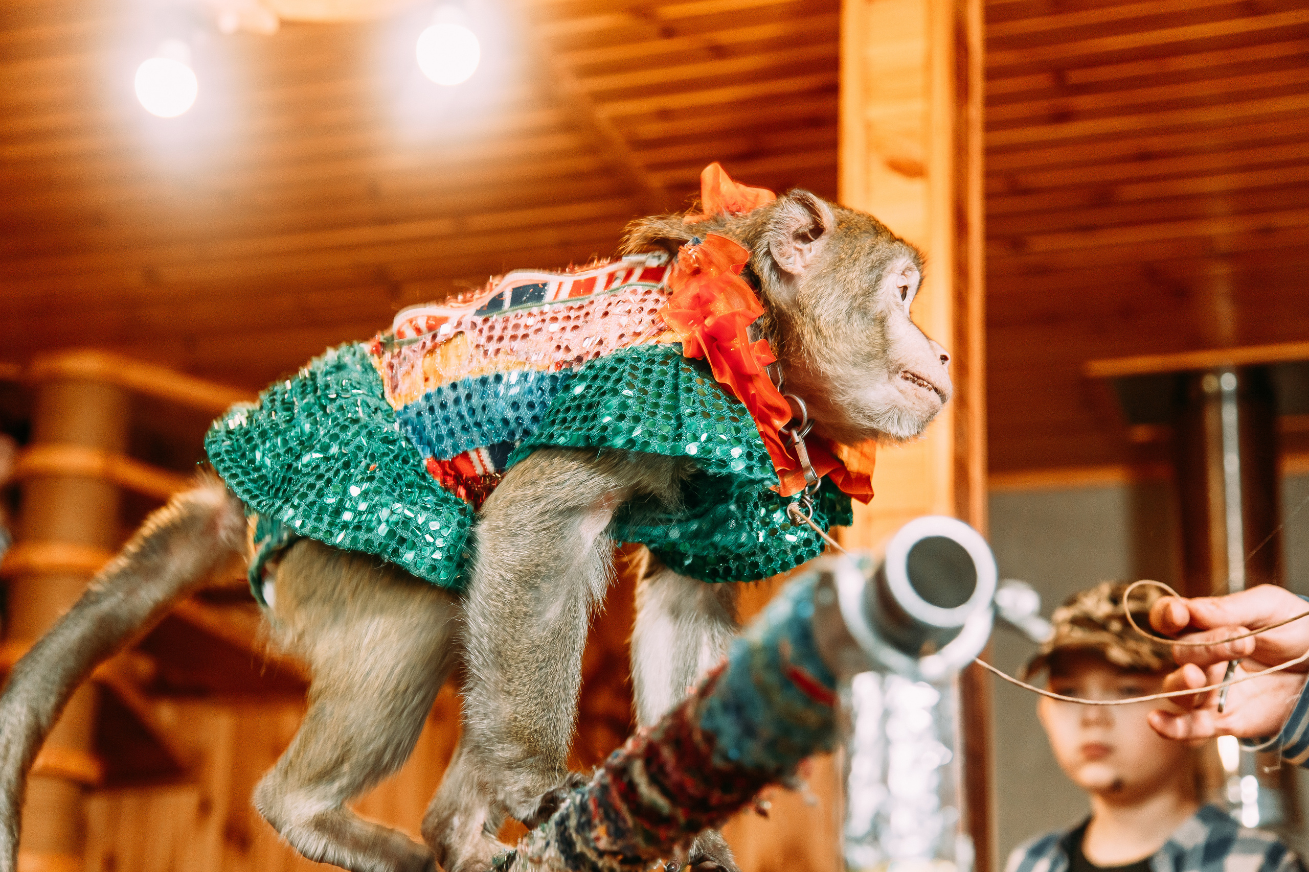 Пираты бури не боятся. Свадебный Семейный Репортажный фотограф в Москве