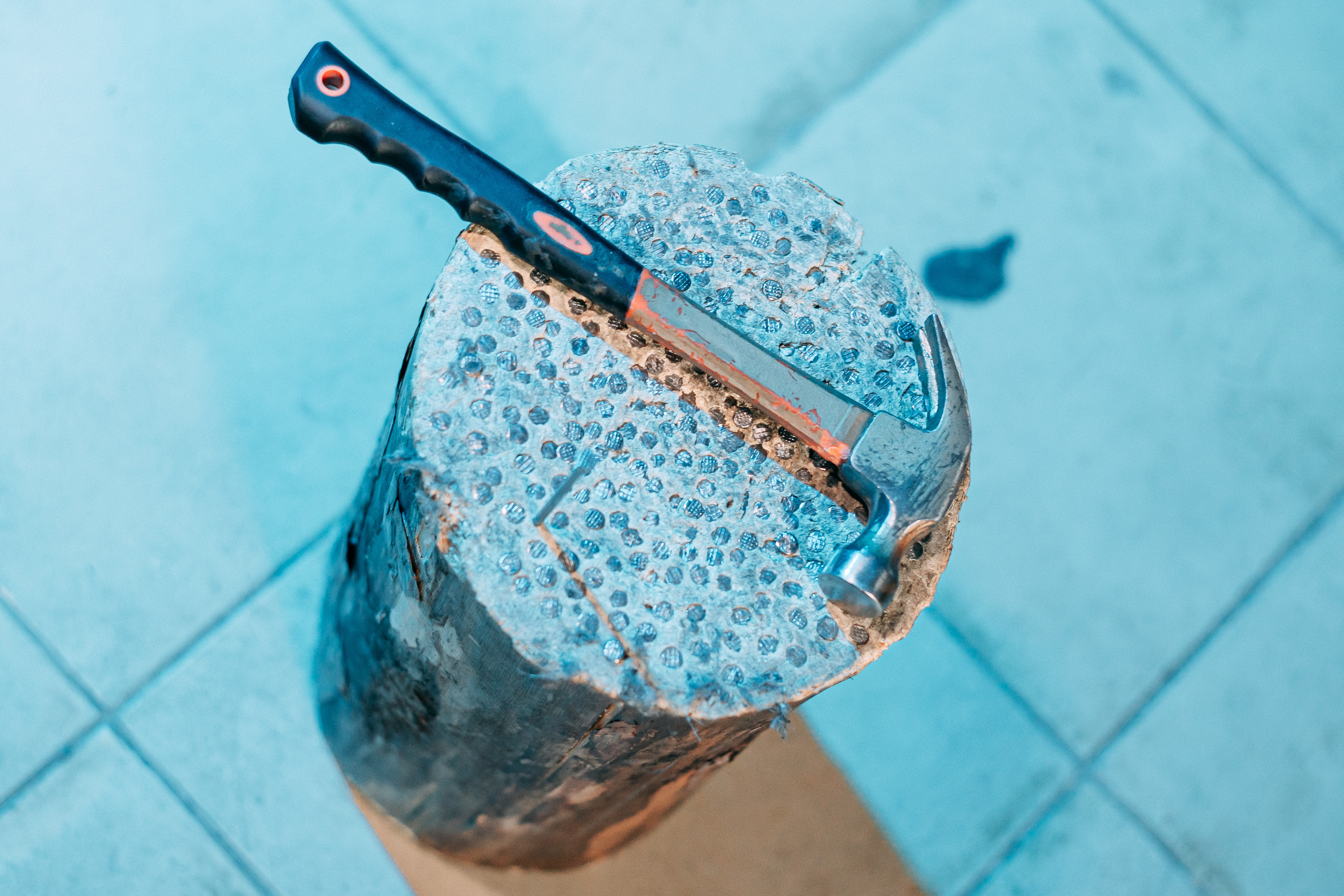 Форт Боярд. Свадебный Семейный Репортажный фотограф в Москве