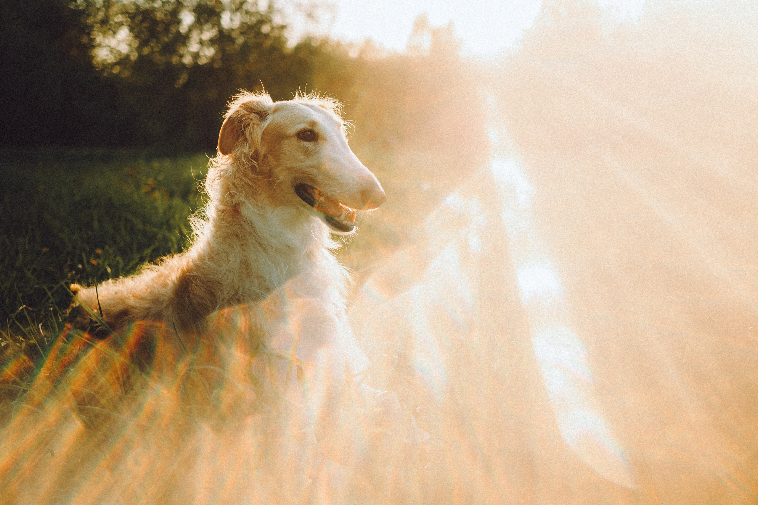 Илай, Зайка и их семья