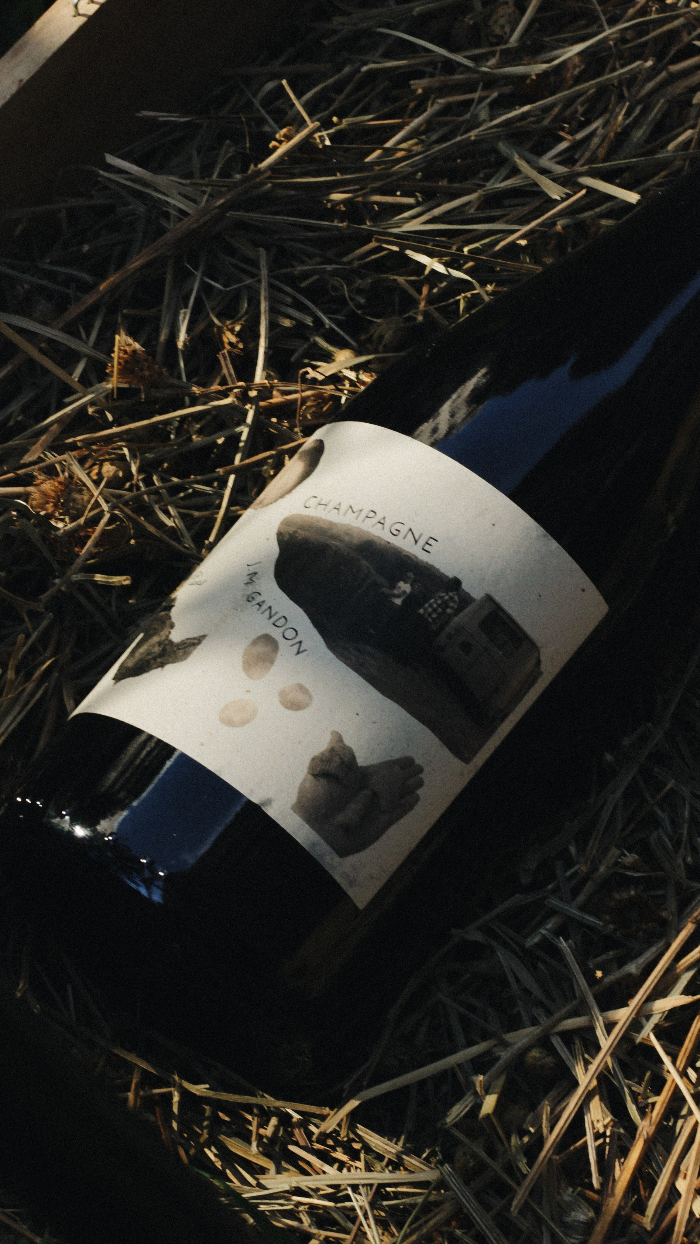 À la Volée. Света Голобородько, фудфотограф в Санкт-Петербурге